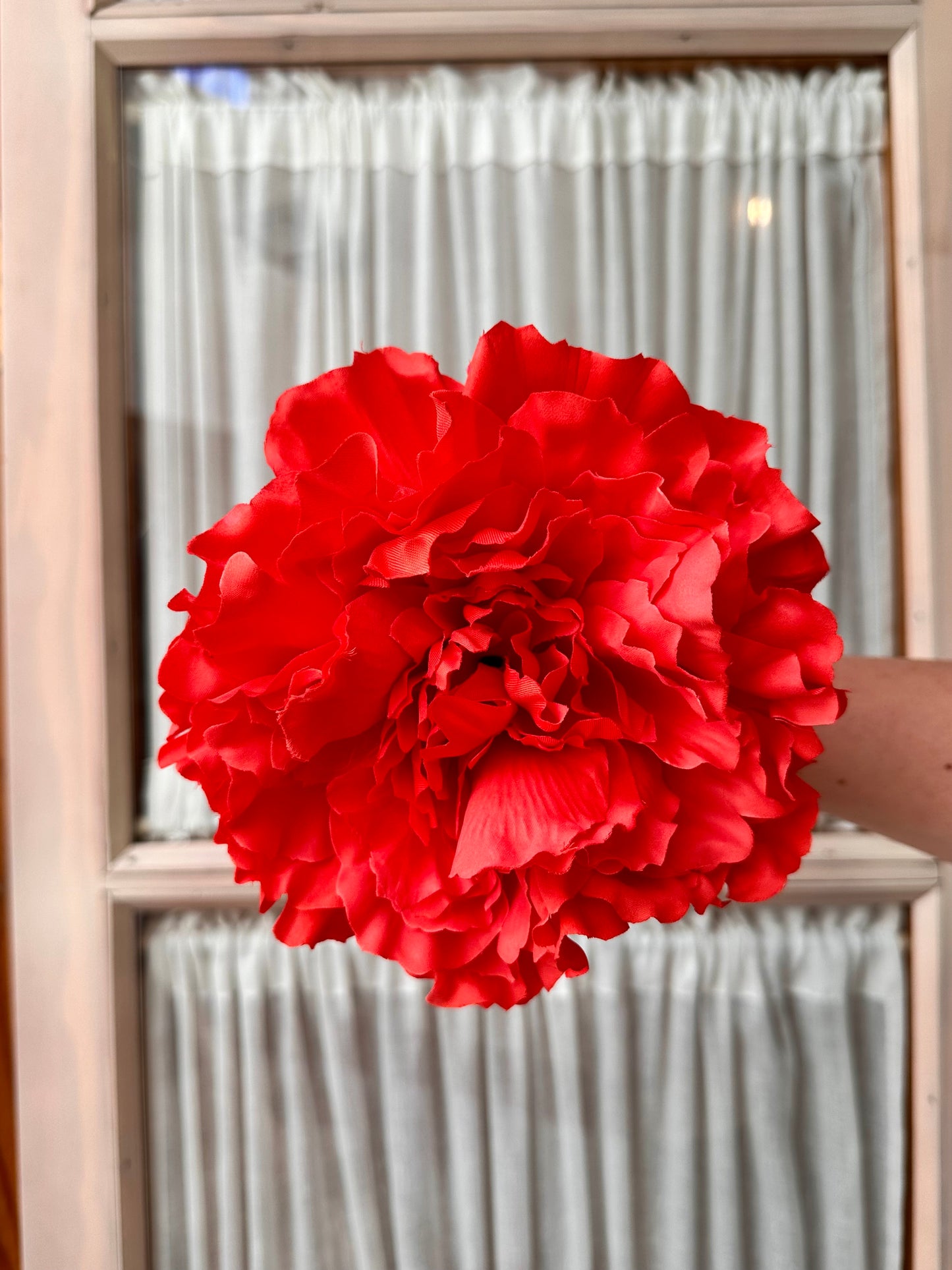 Peonia grande coral