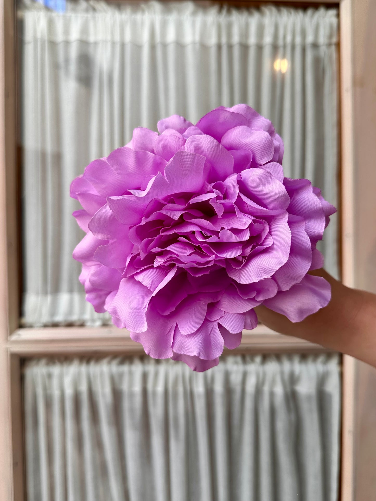 Peonia mediana lila