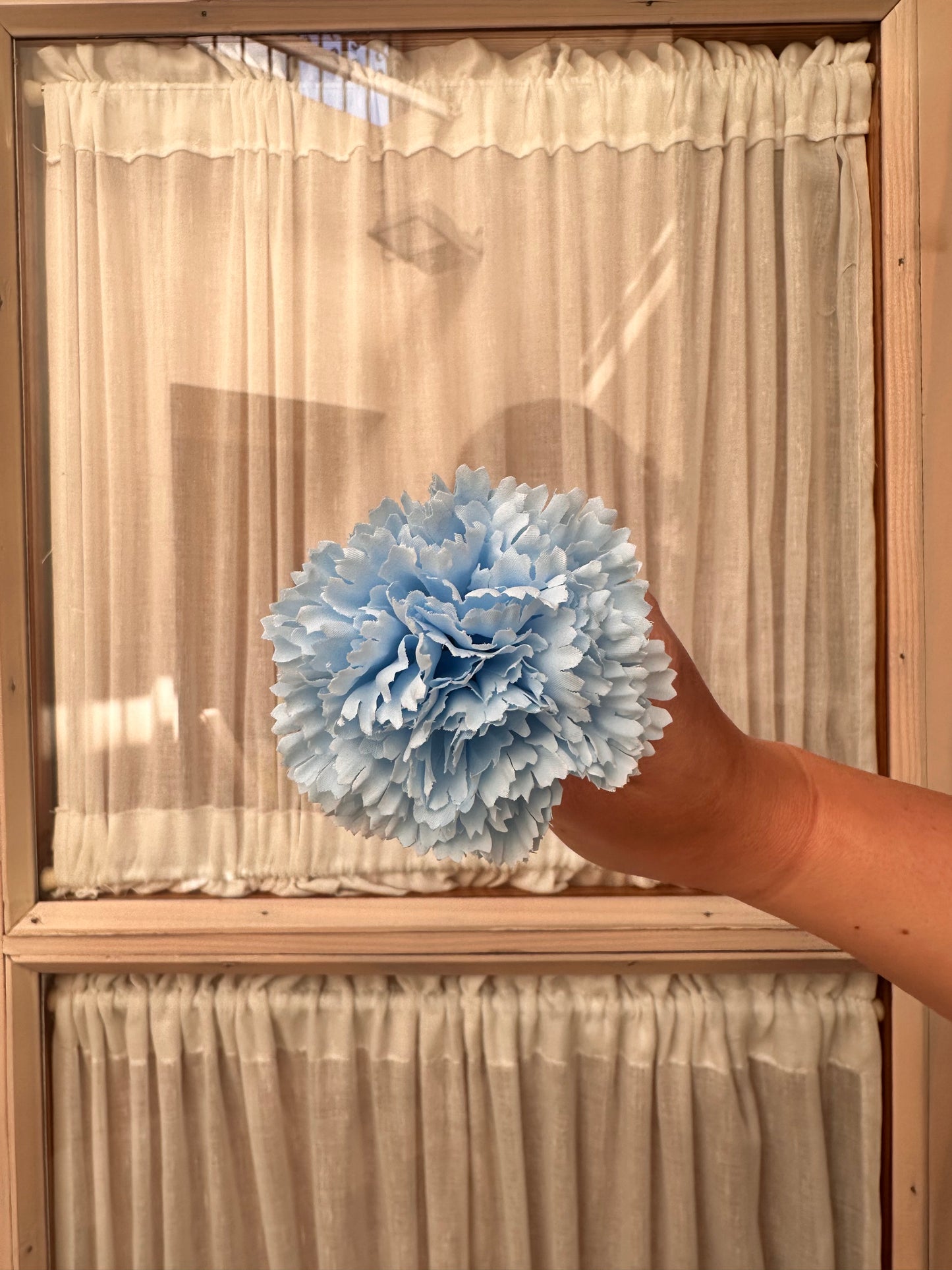 Clavel pequeño azul bebe