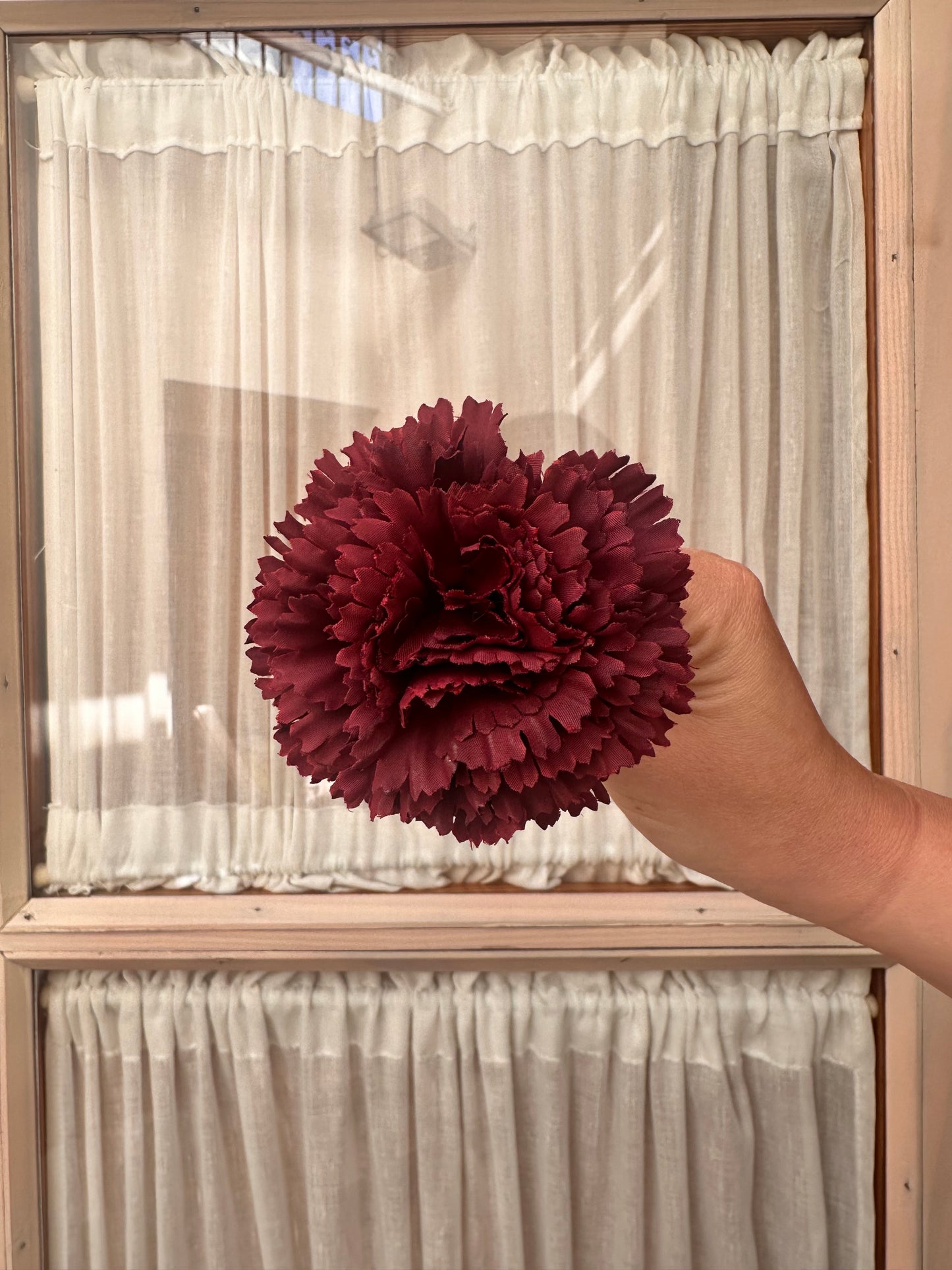 Clavel pequeño burdeos