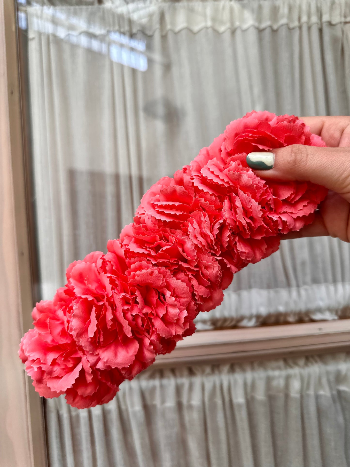 Corona coral