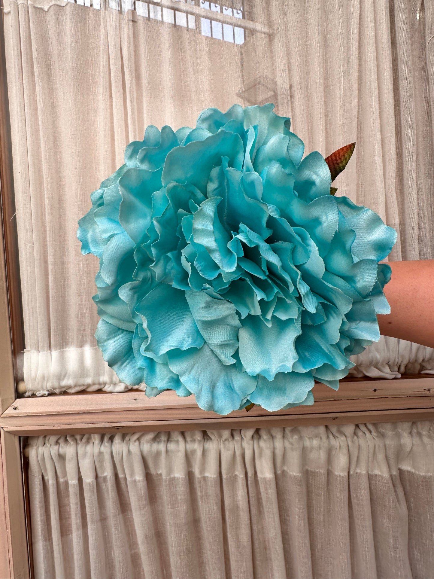 Peonia grande aqua