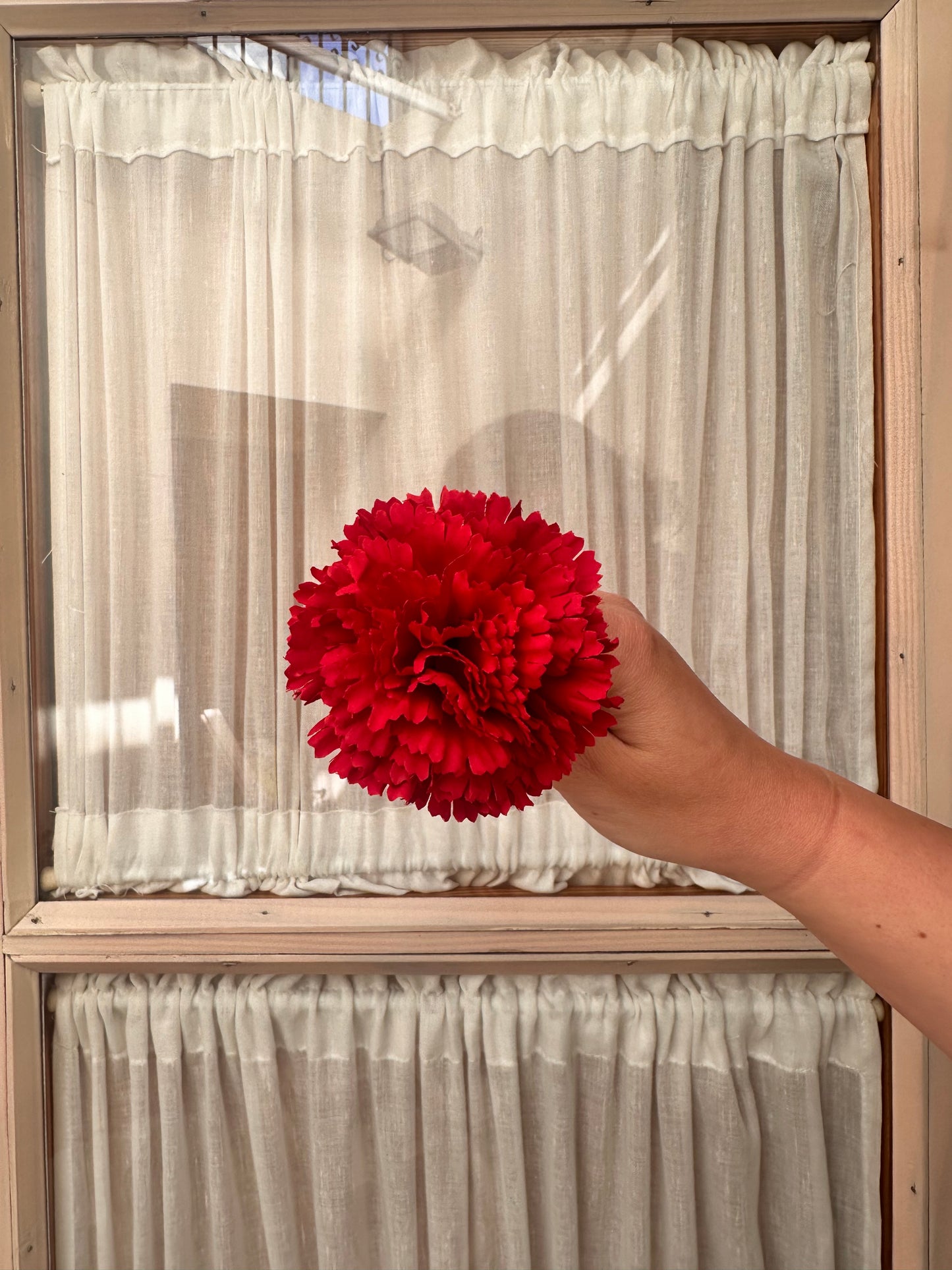 Clavel pequeño rojo