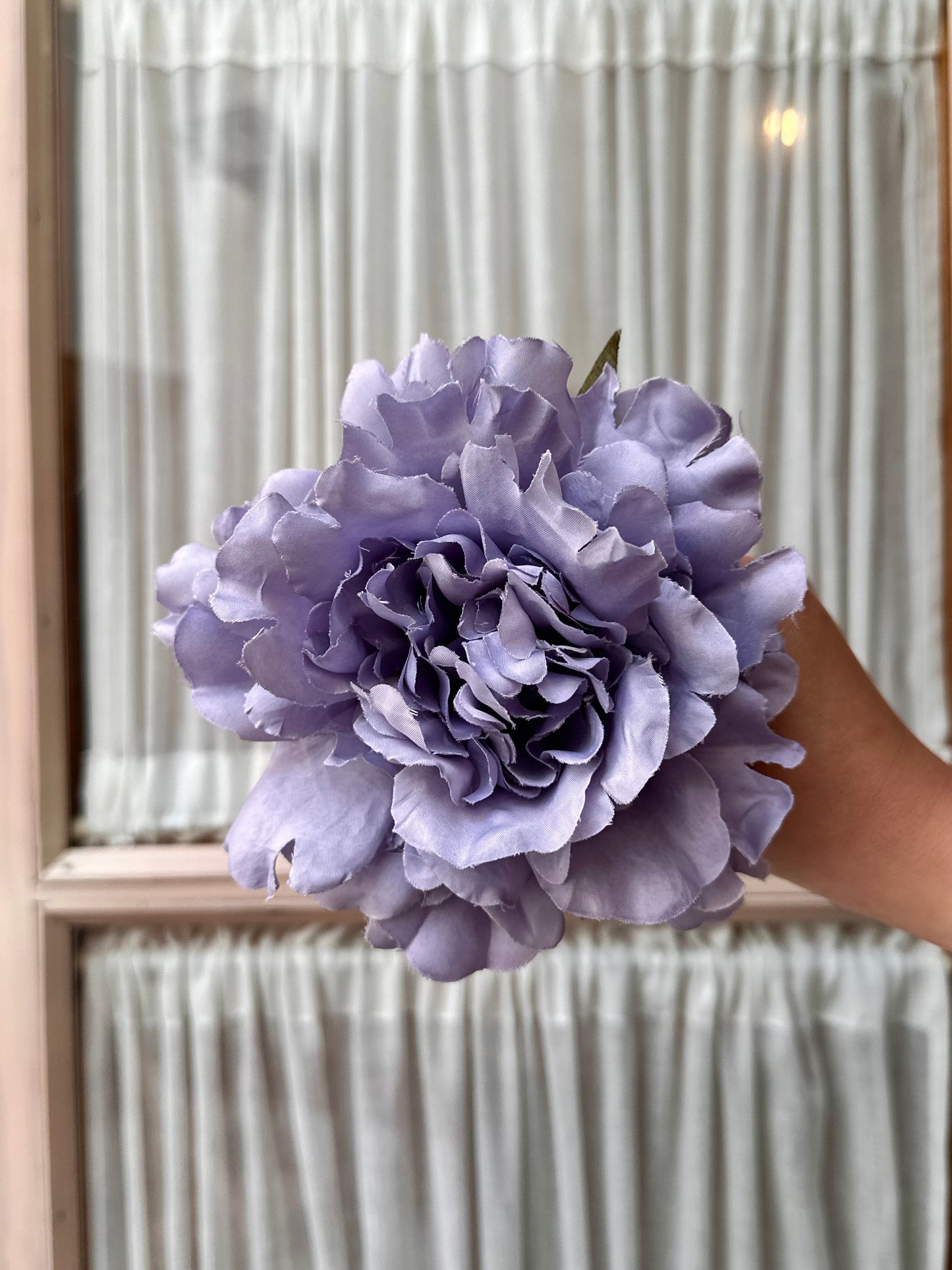 Peonia mediana gris lavanda