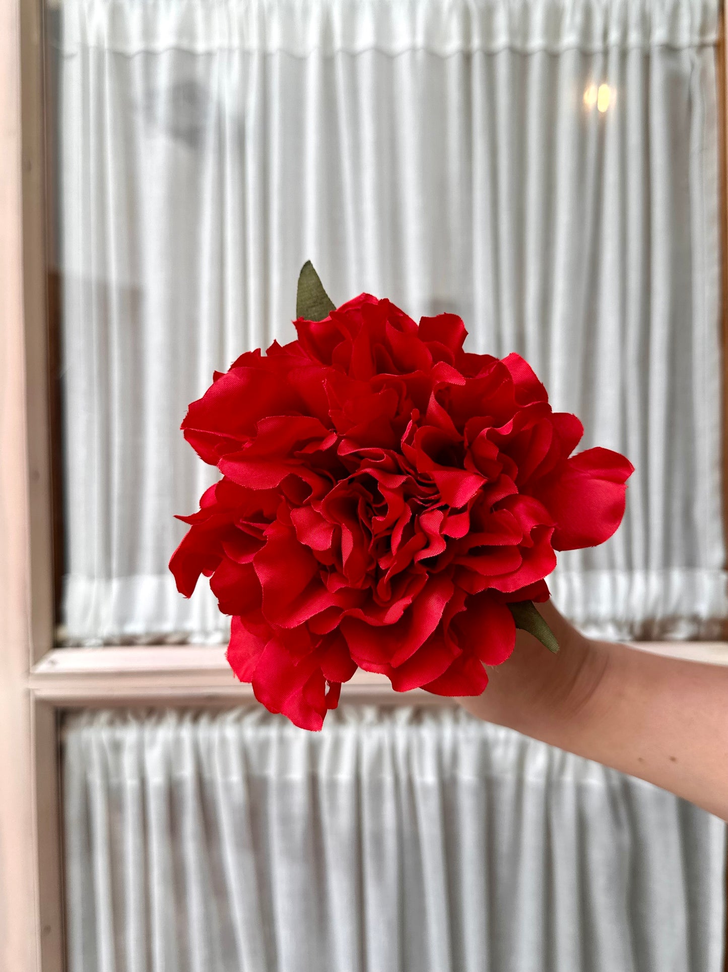 Peonia mediana roja