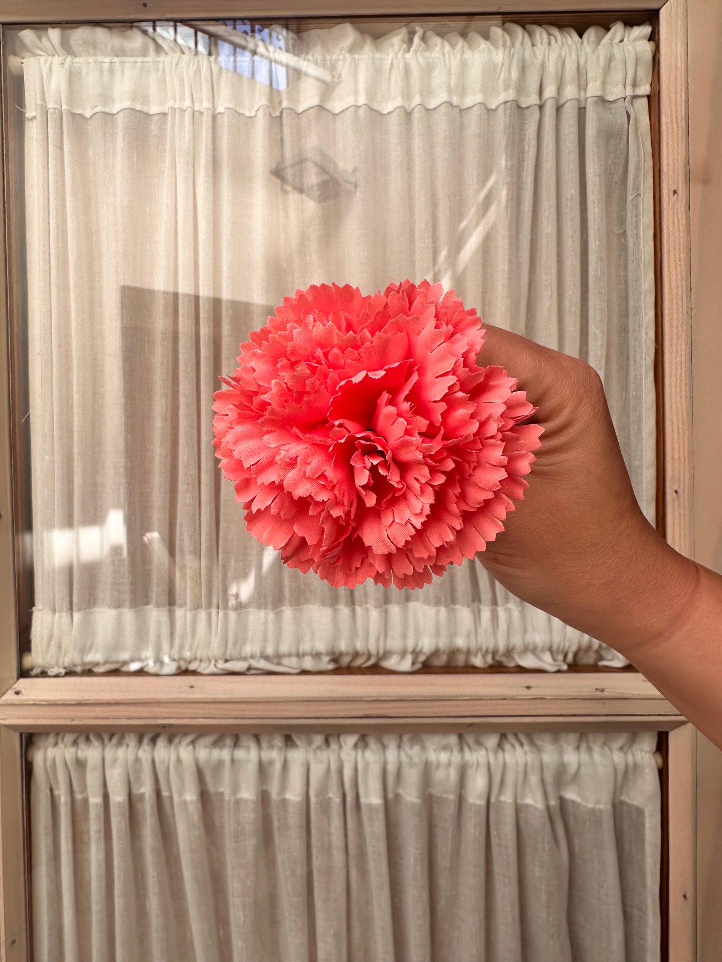 Clavel pequeño coral