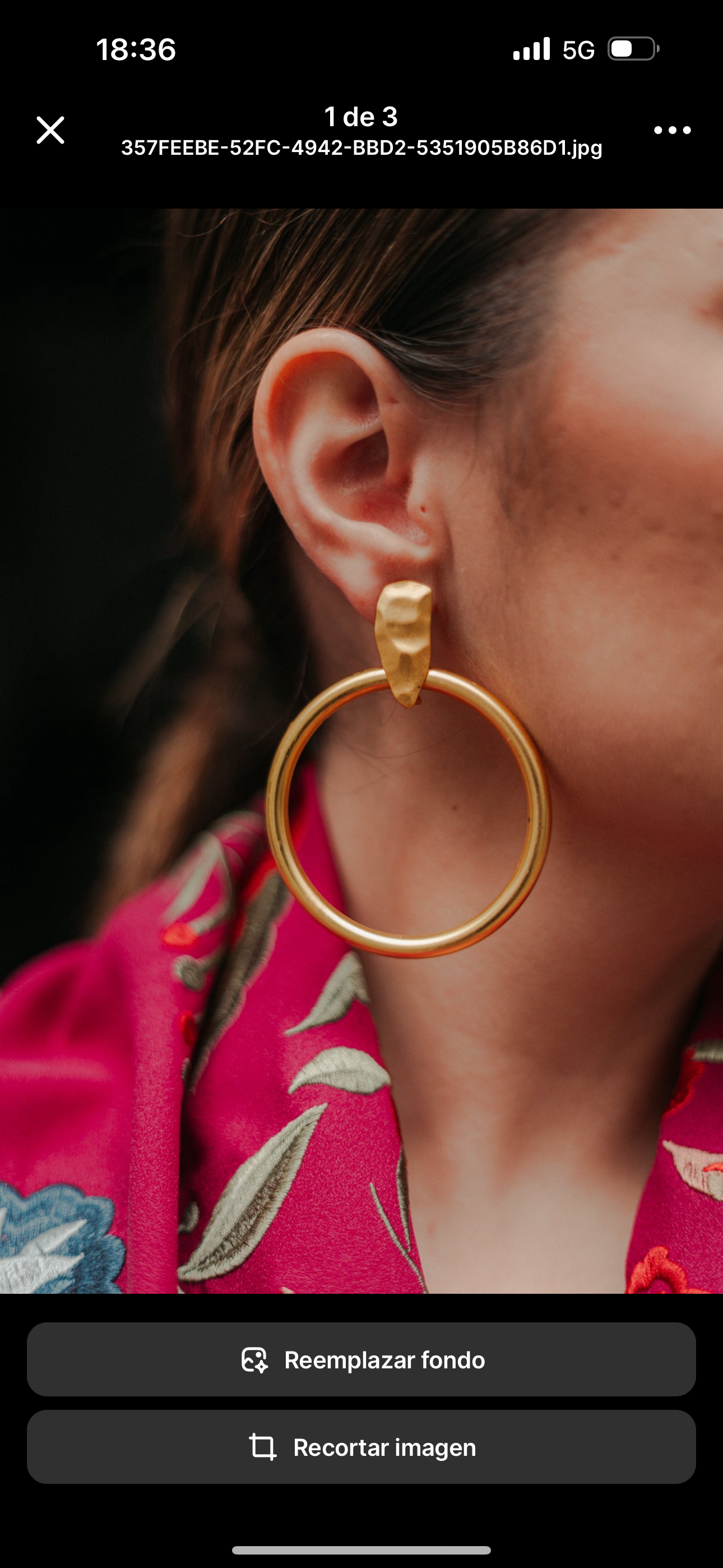 Pendientes Economicos Flamenca