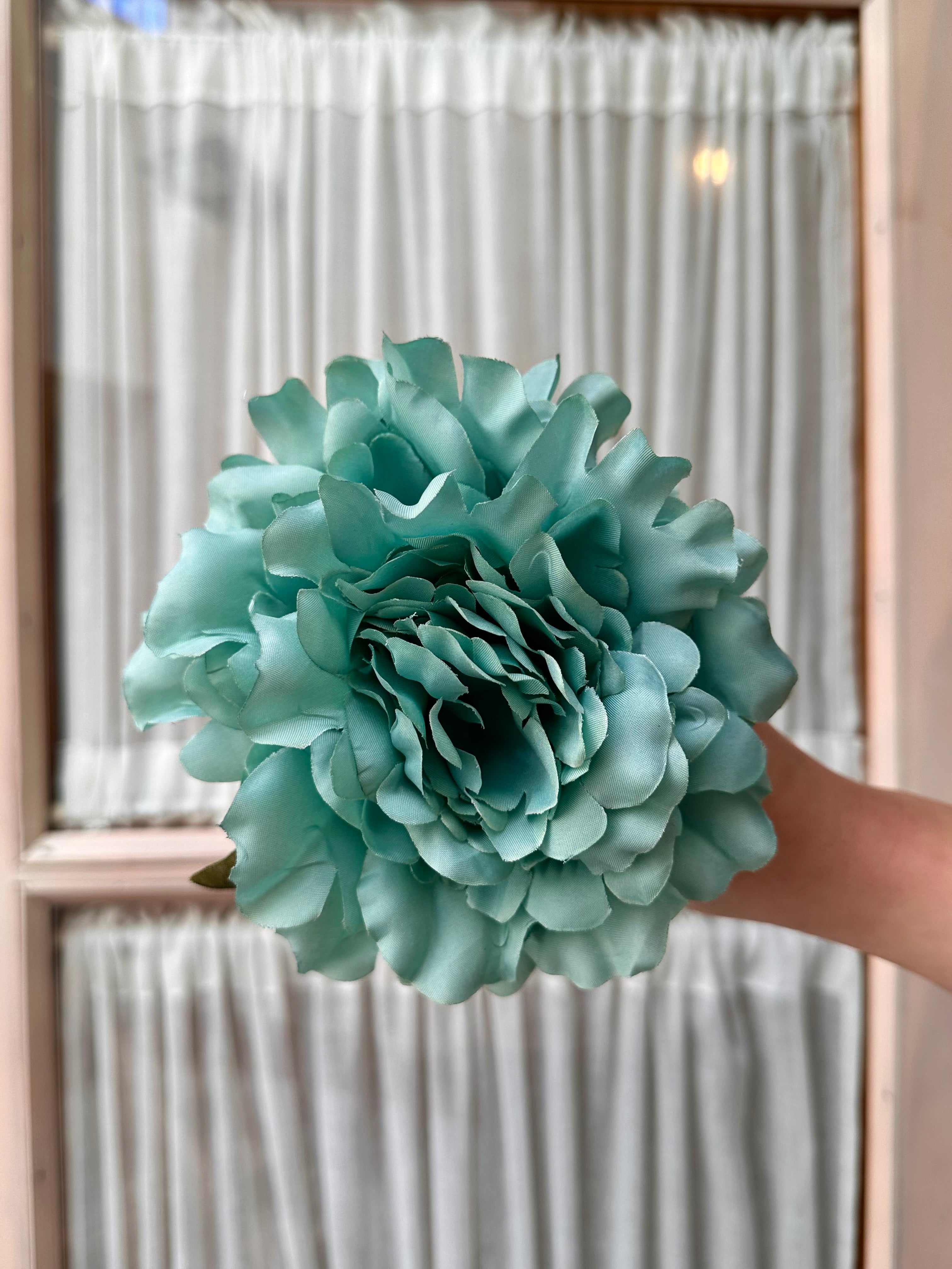 Peonia mediana aqua marina clara