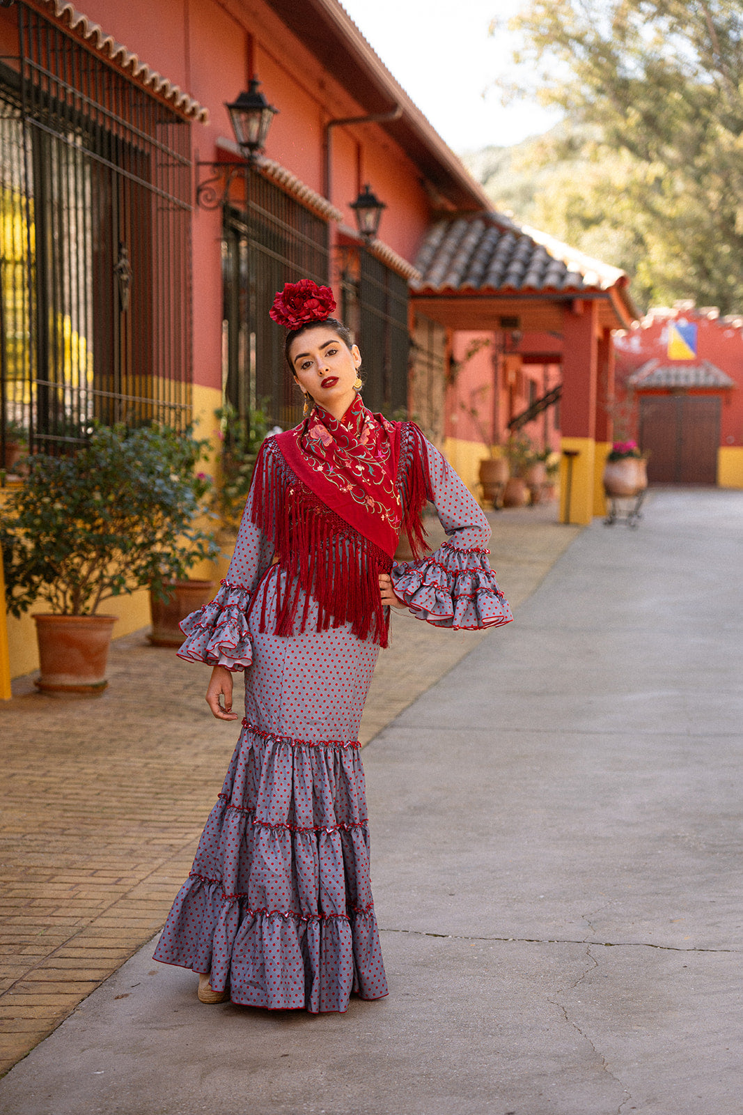 Traje de flamenca - Modelo Manuela Gris con lunar Burdeos