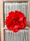 Peonia grande coral