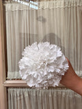 Clavel mediano blanco
