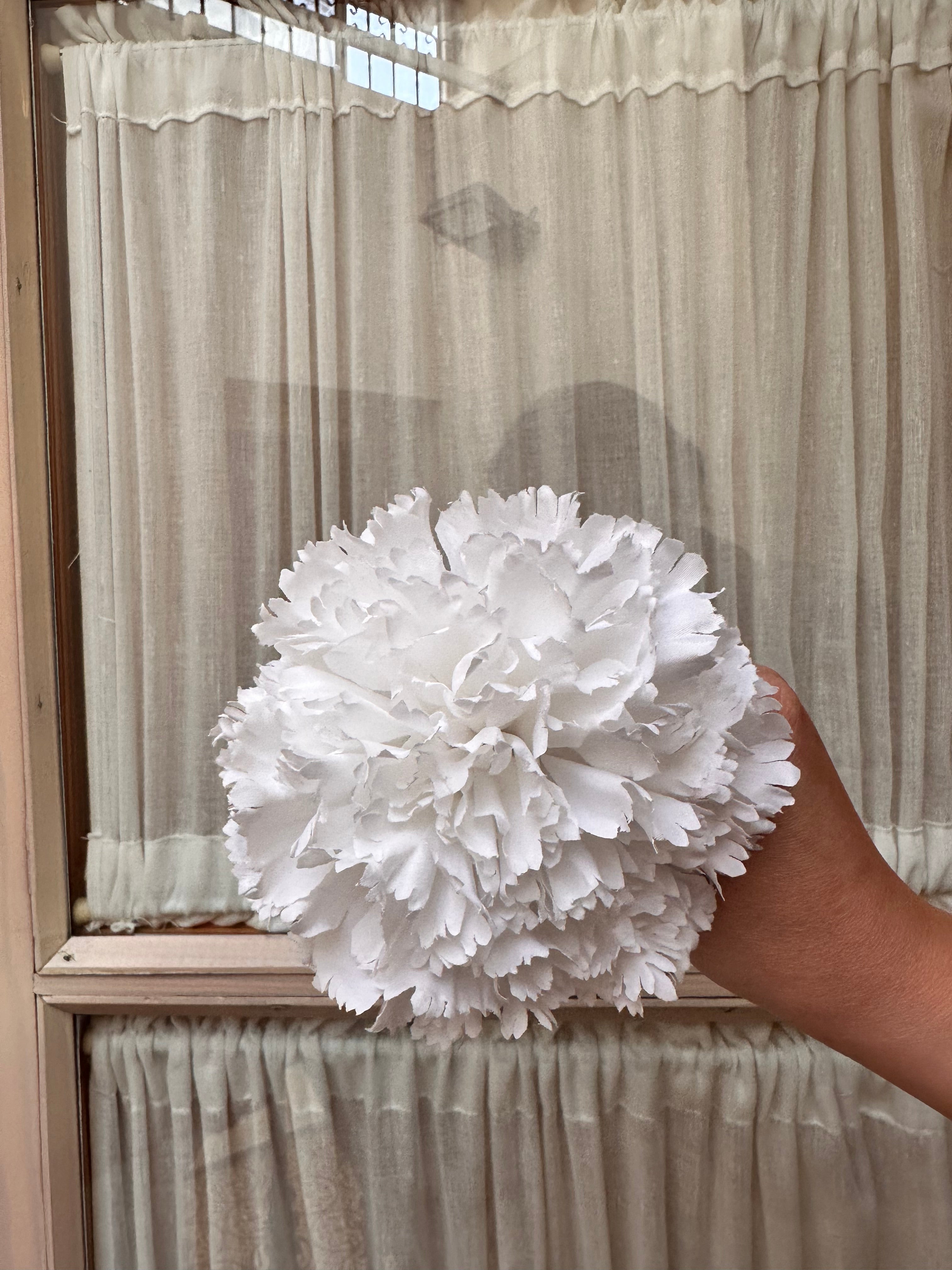 Clavel mediano blanco