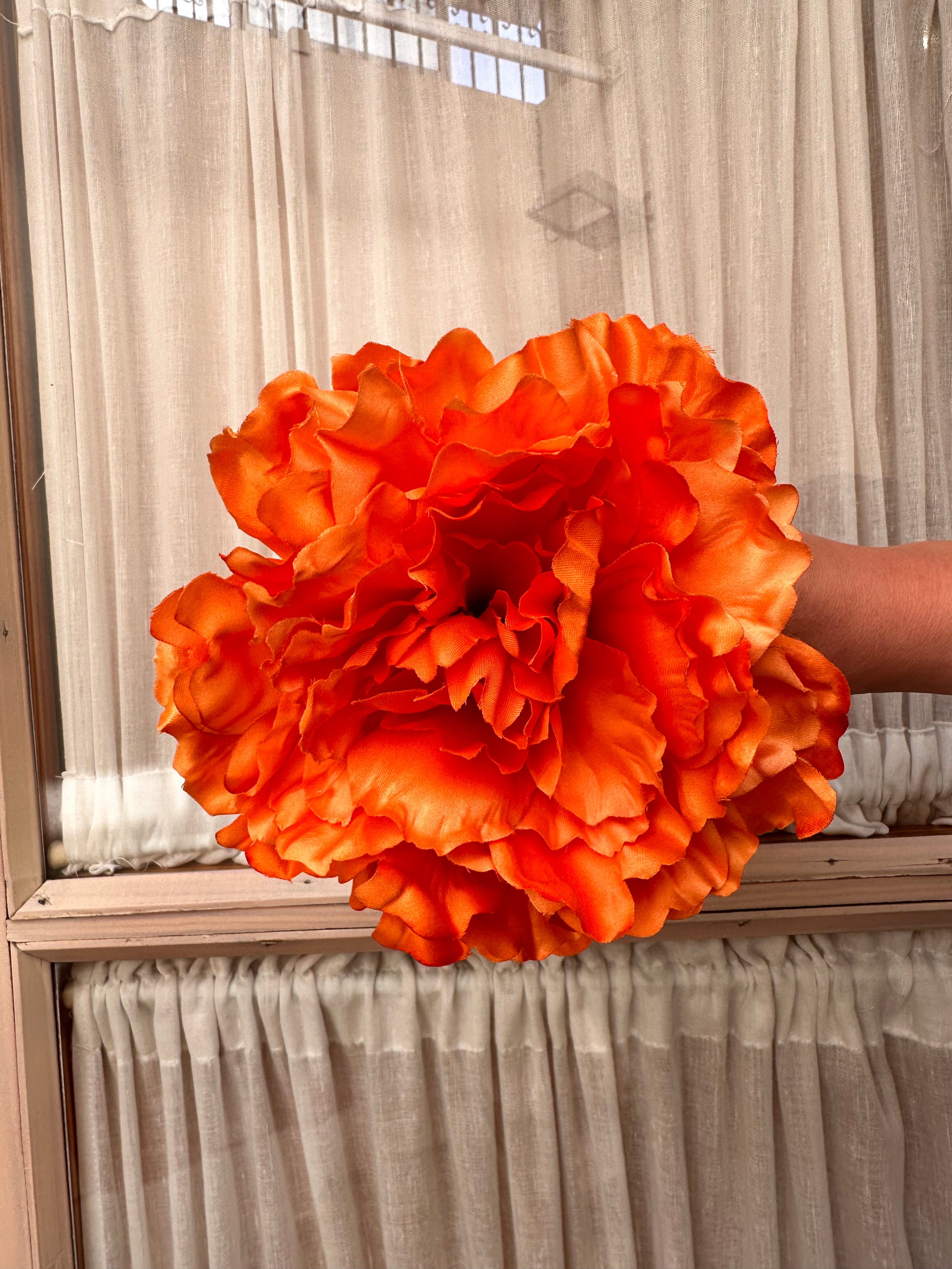 Peonia grande naranja butano