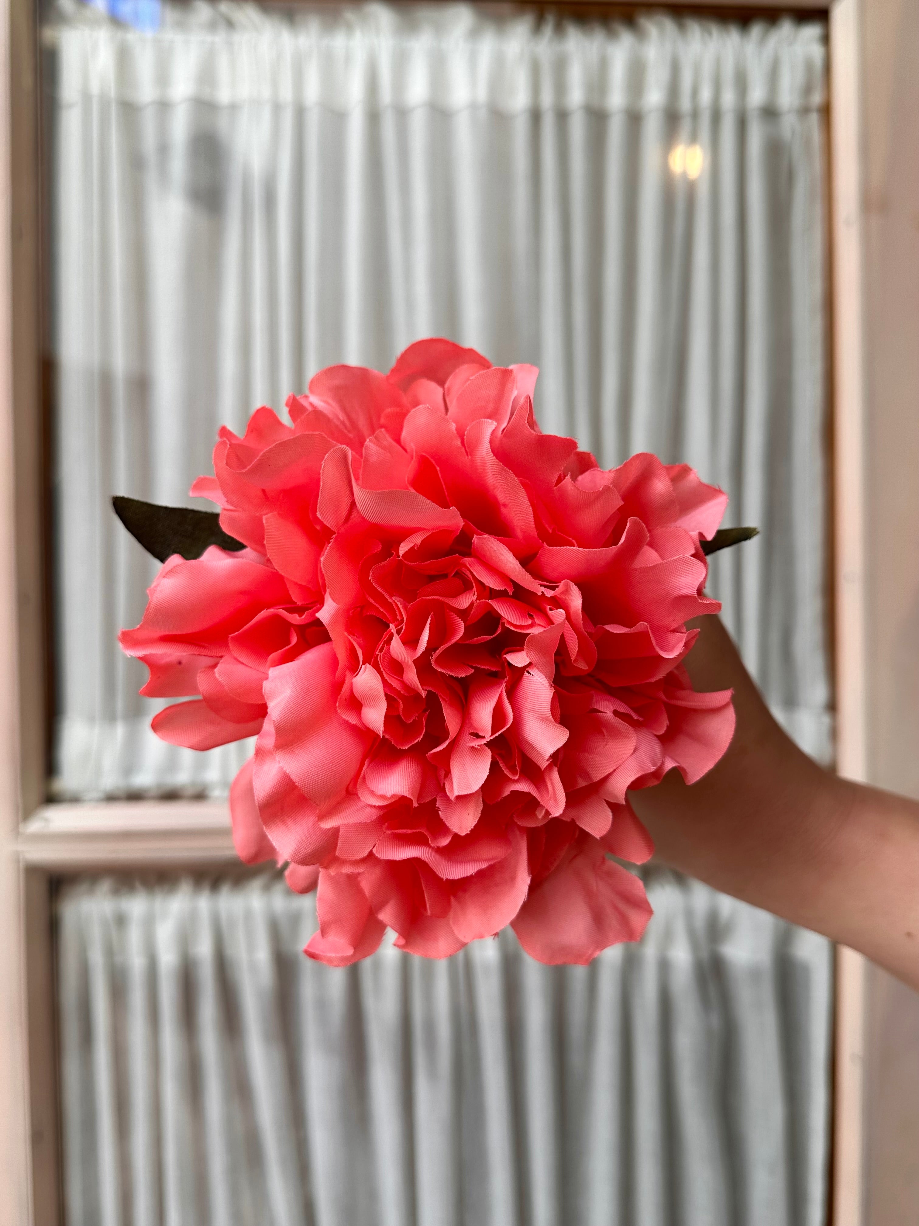 Peonia mediana coral claro