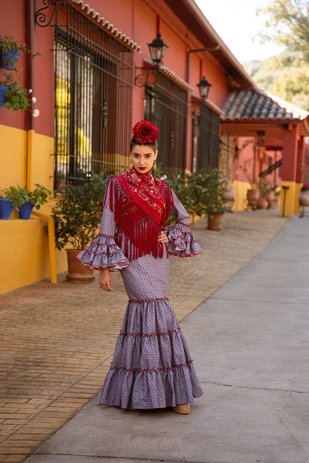 Traje de flamenca - Modelo Manuela Gris con lunar Burdeos