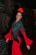 Vestido Carmesí Rojo