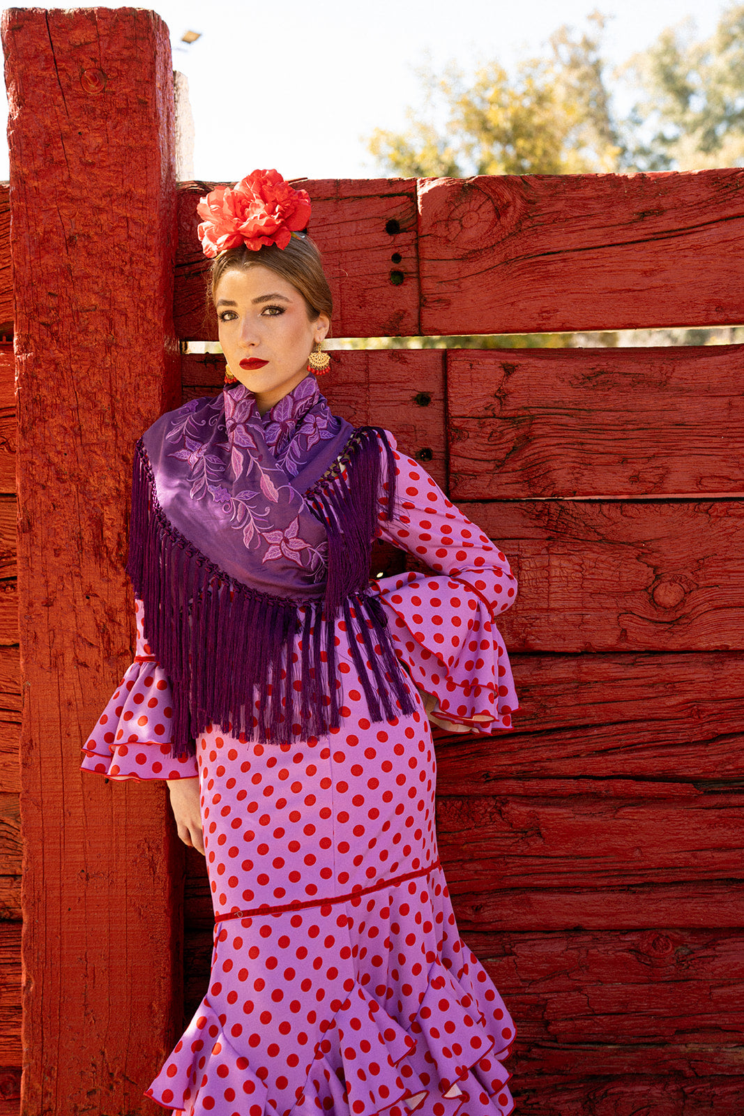 Traje de flamenca - Modelo Catalina Morado Lunar rojo