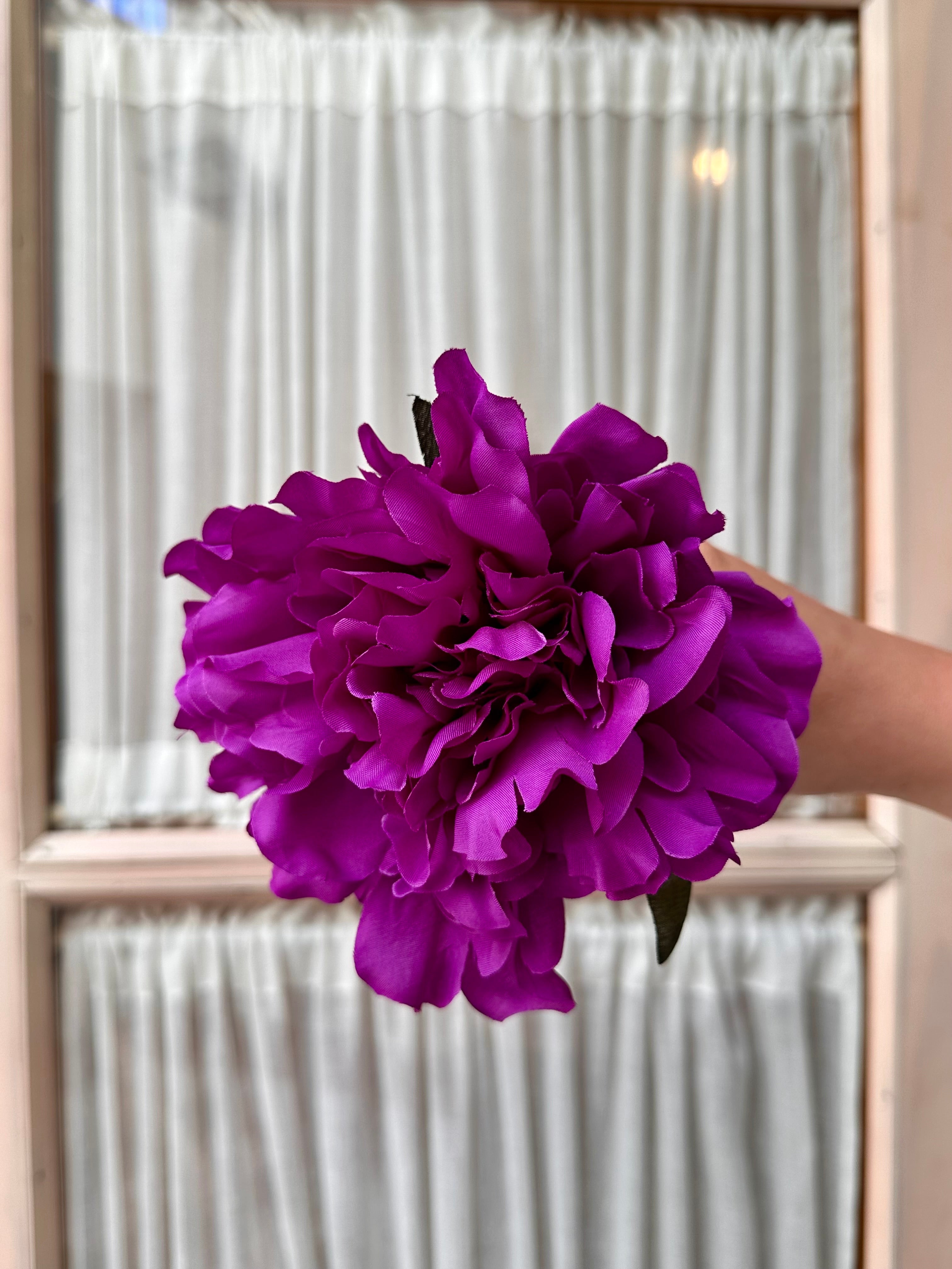 Peonia mediana morado