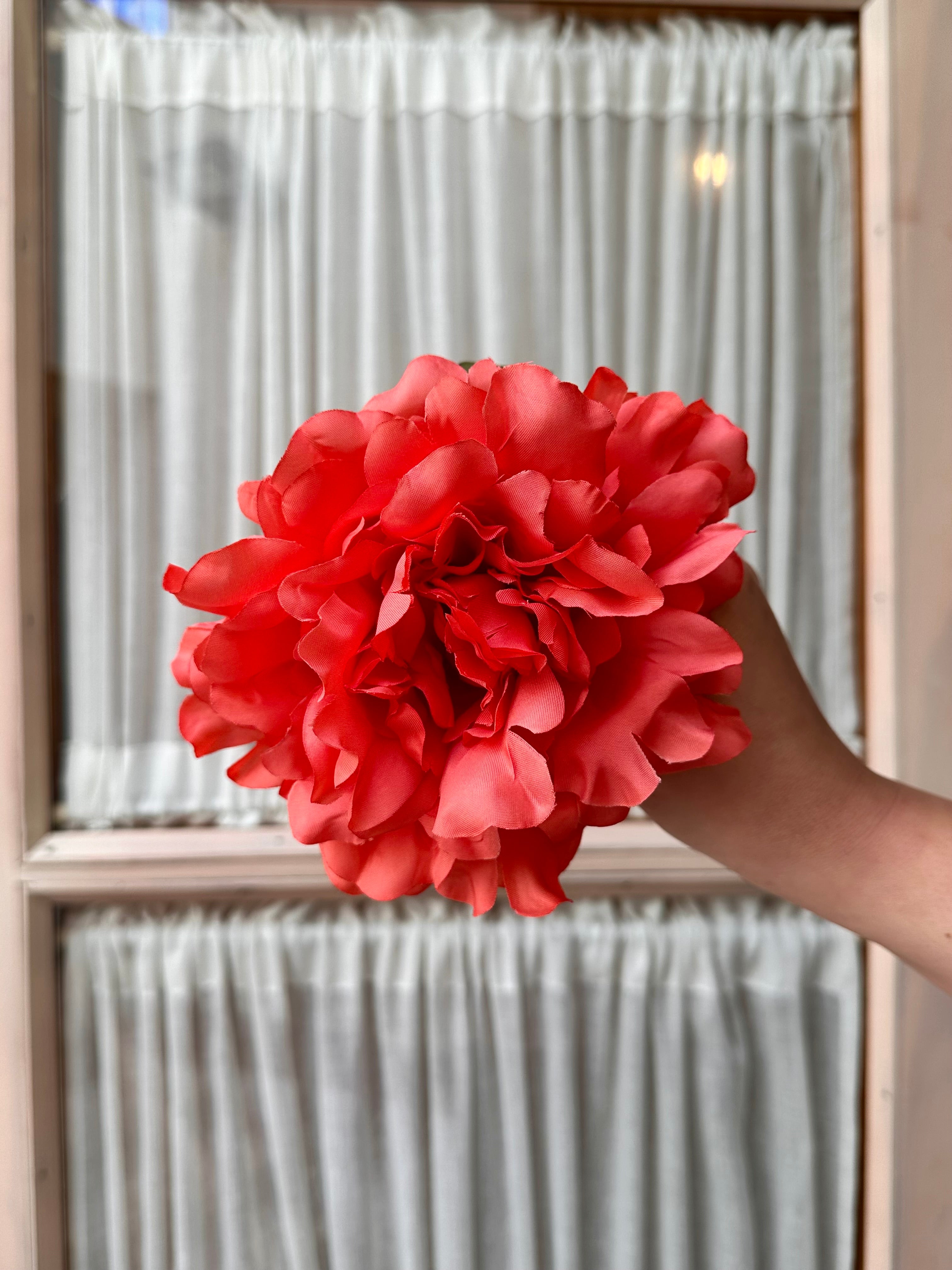 Peonia mediana coral oscuro