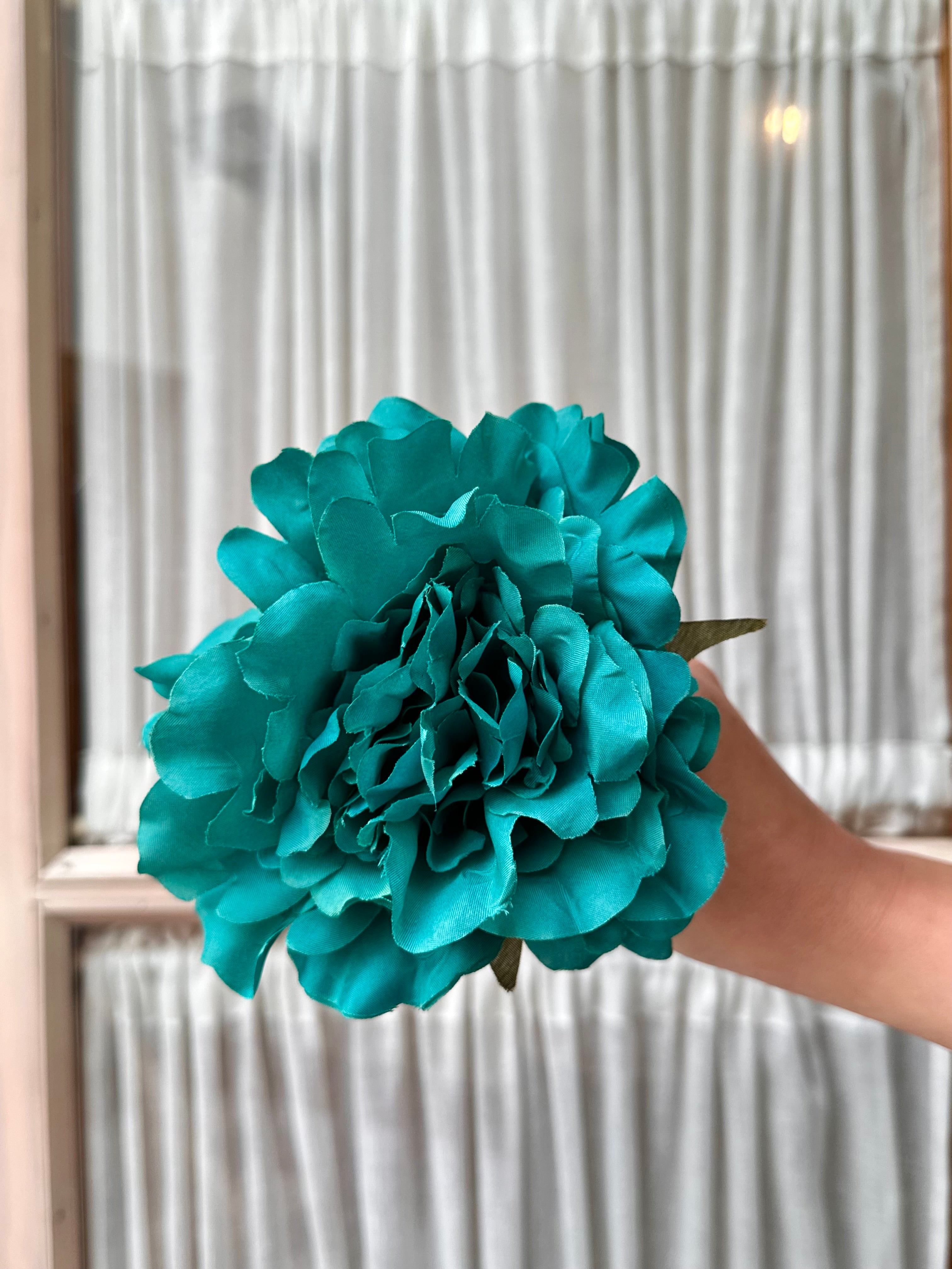 Peonia mediana azul tiffany