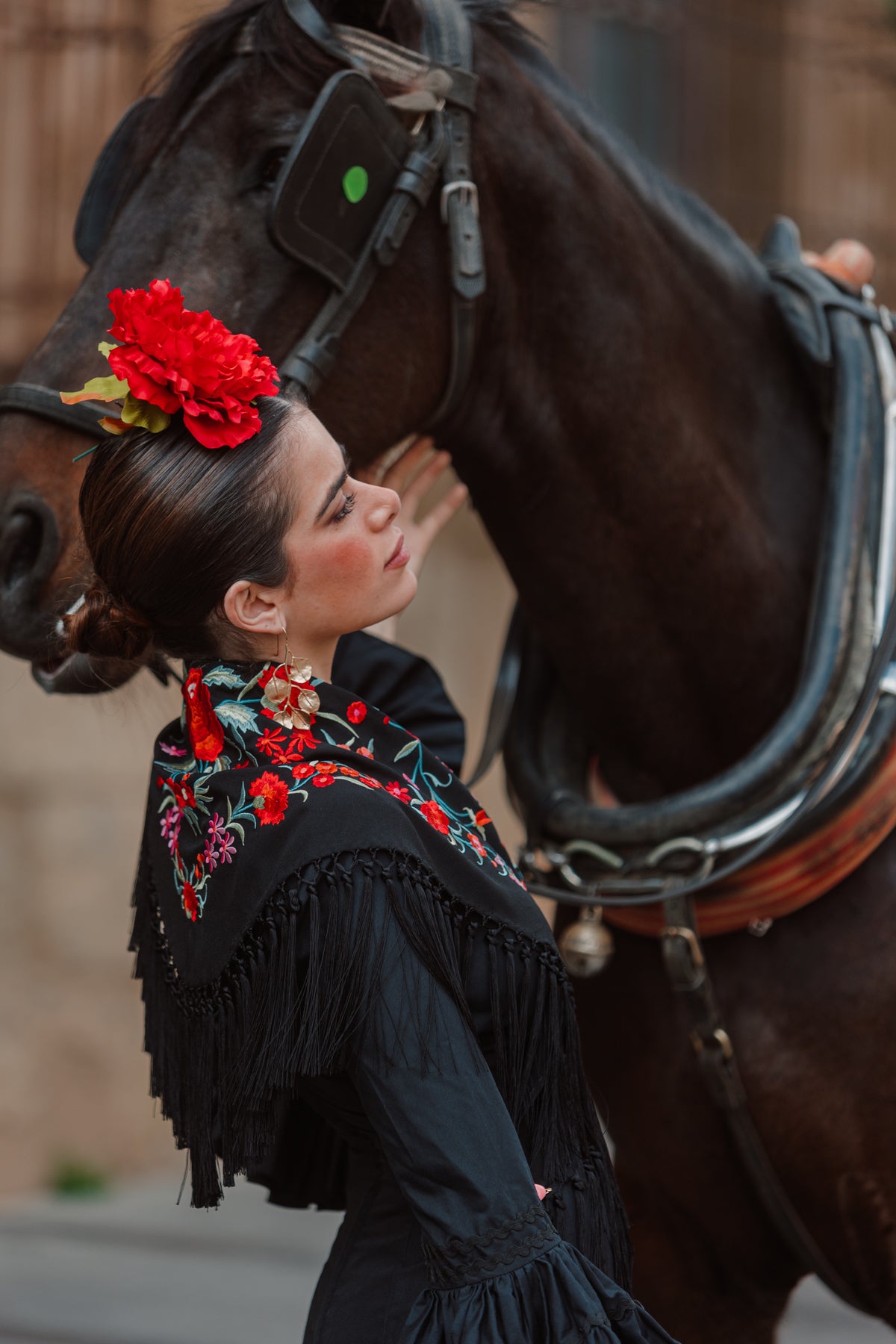 Mantoncillo Clavelines Negro Bordado Rojo