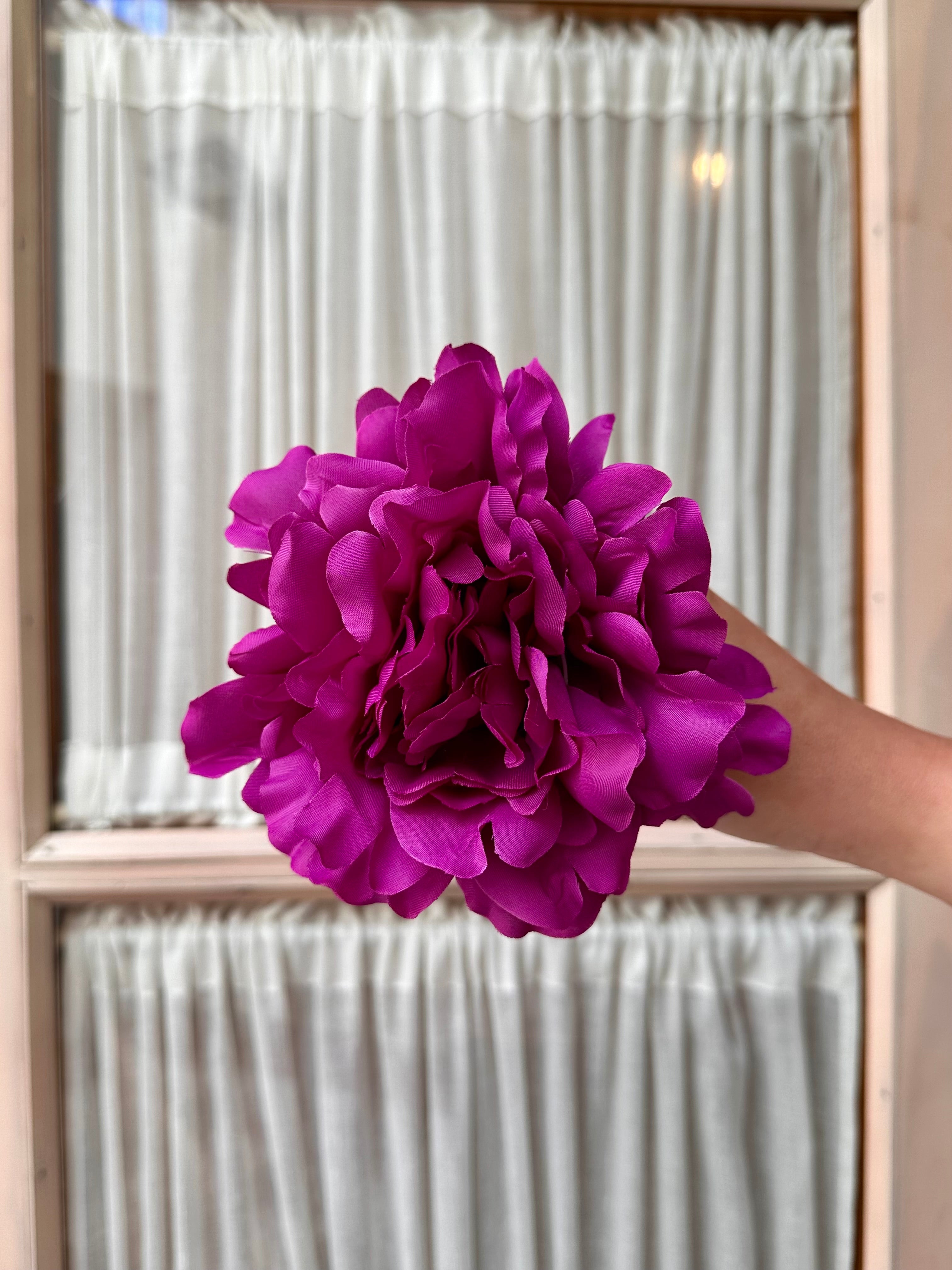 Peonia mediana buganvilla