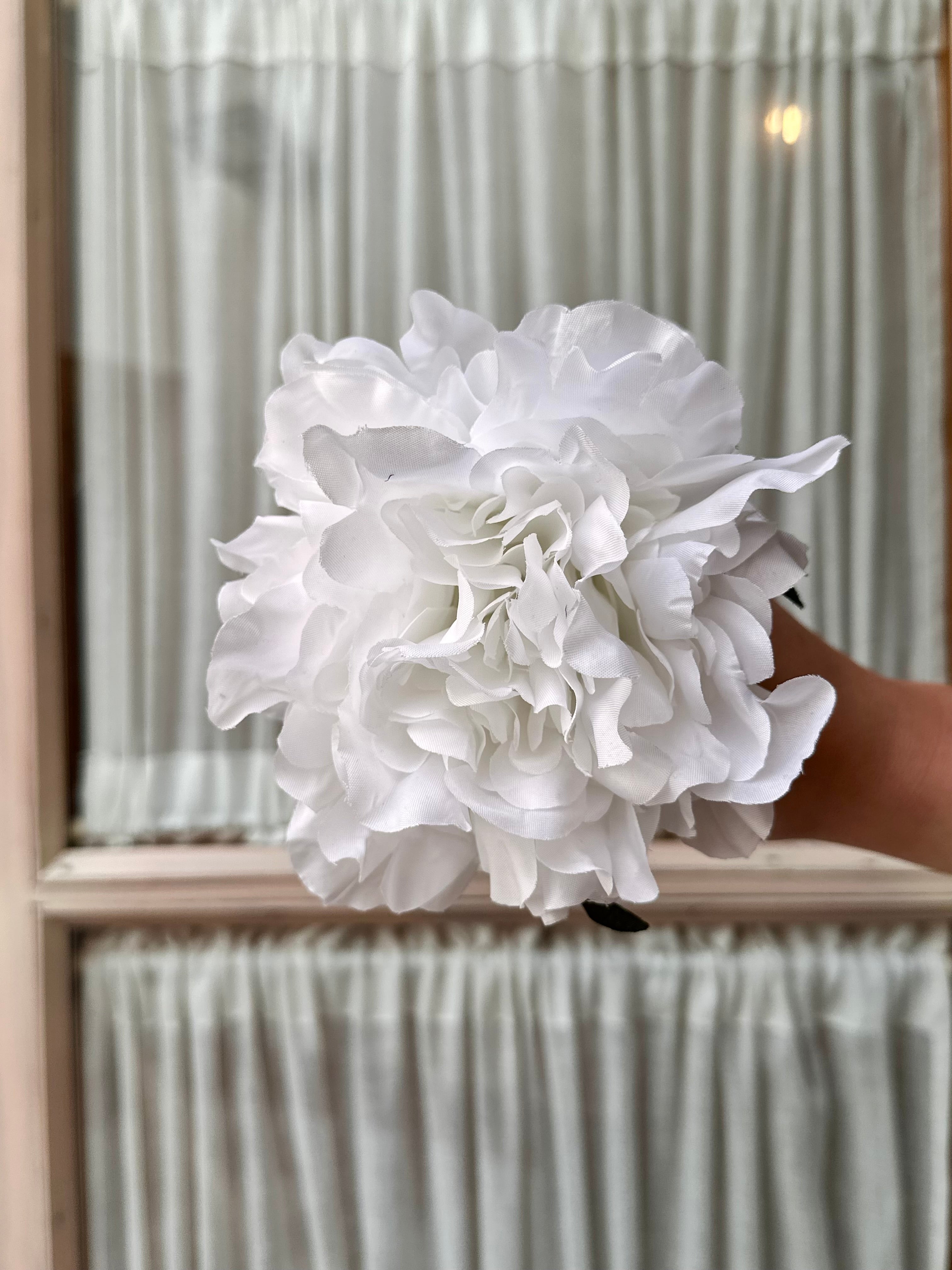 Peonia mediana blanca