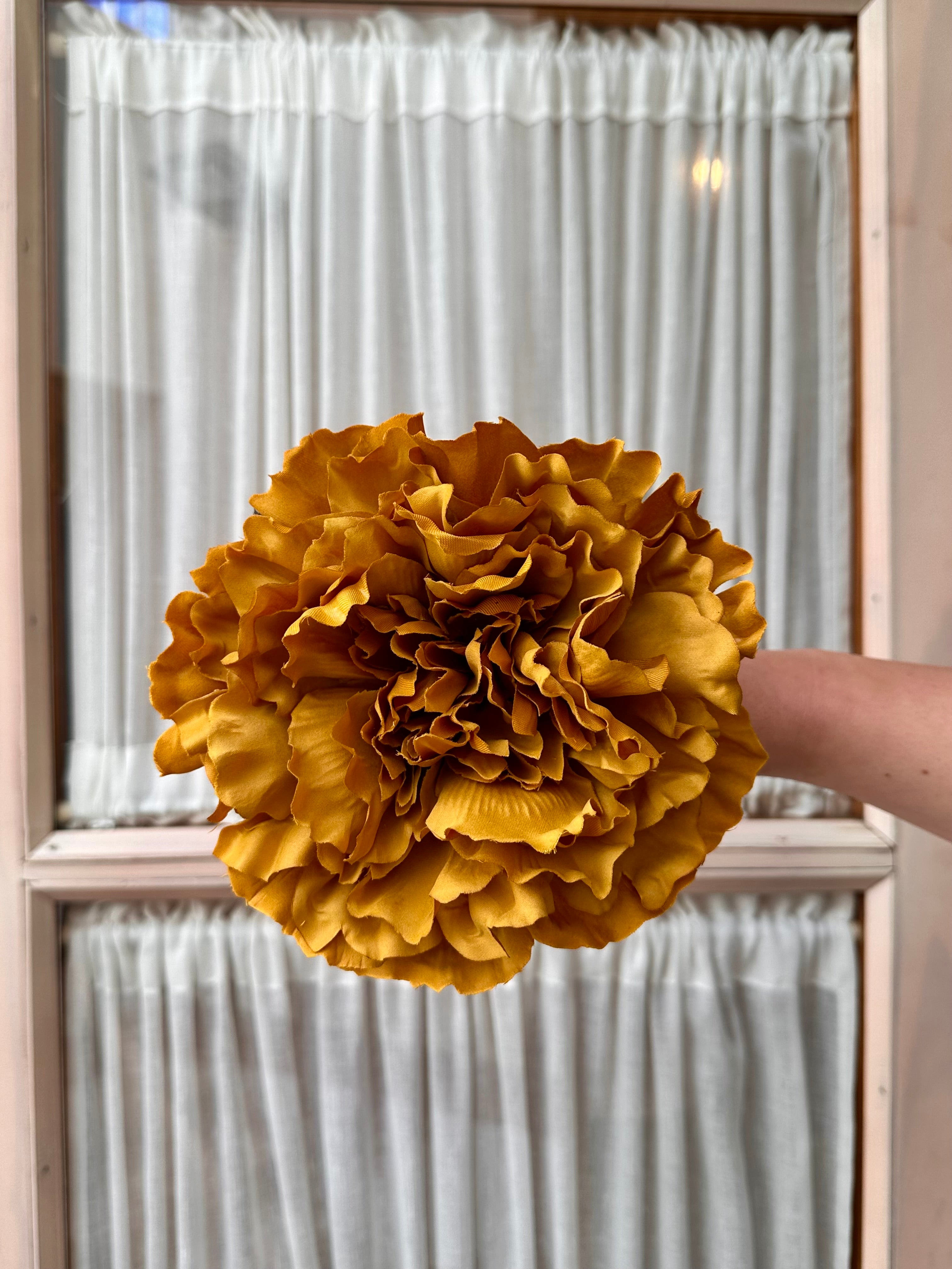 Peonia grande albero