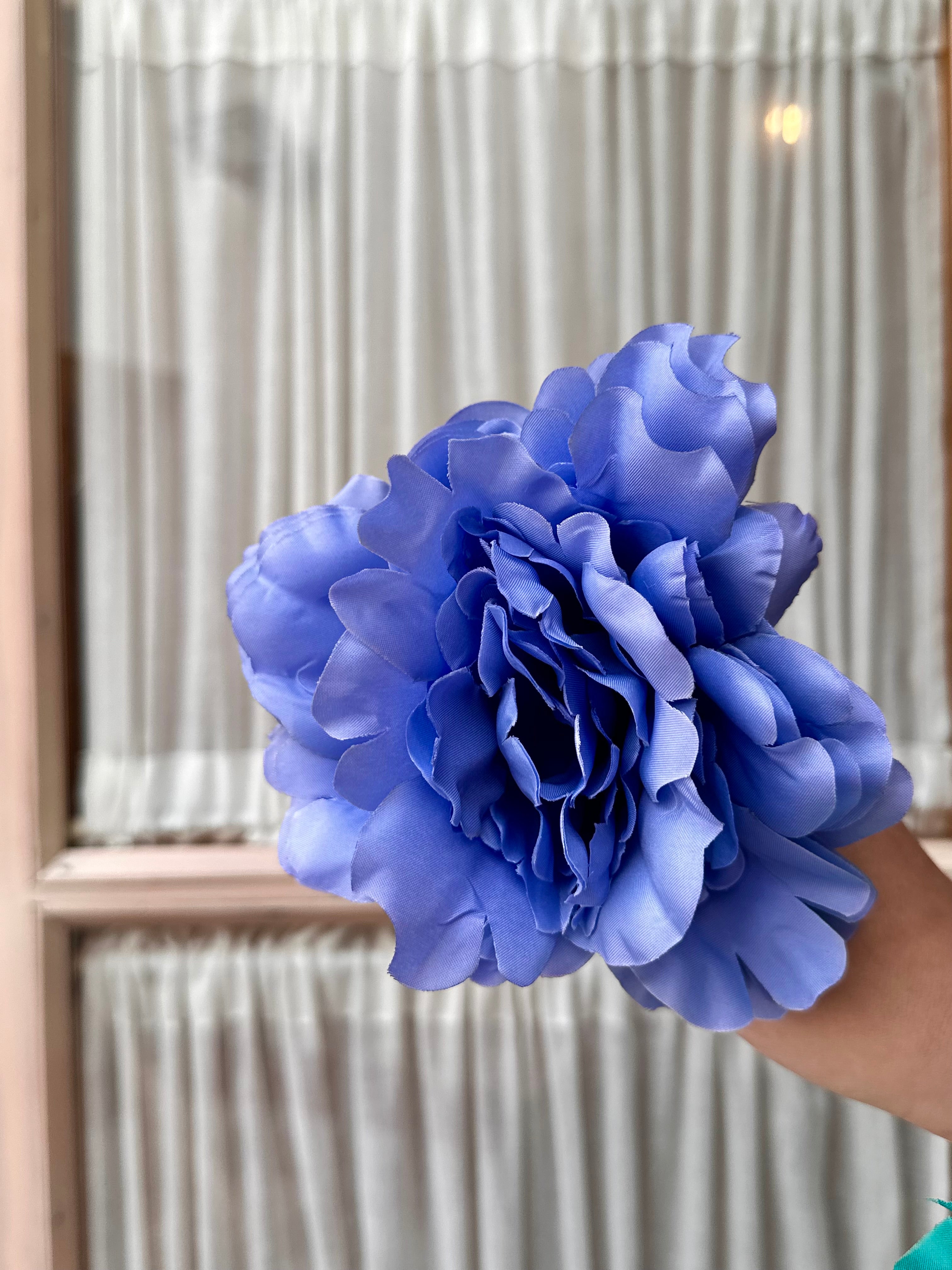 Peonia mediana azul hortensia