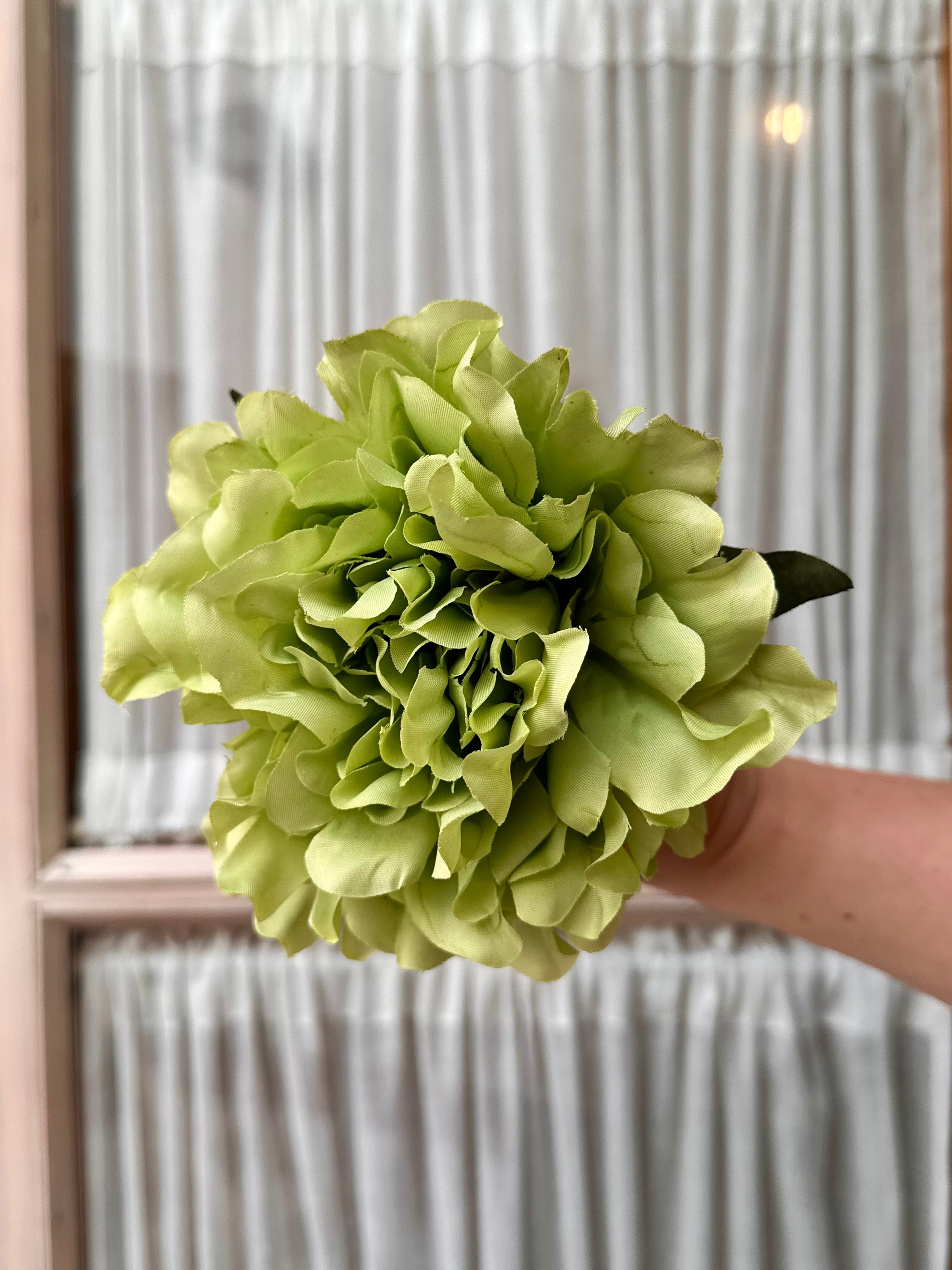 Peonia mediana verde manzana