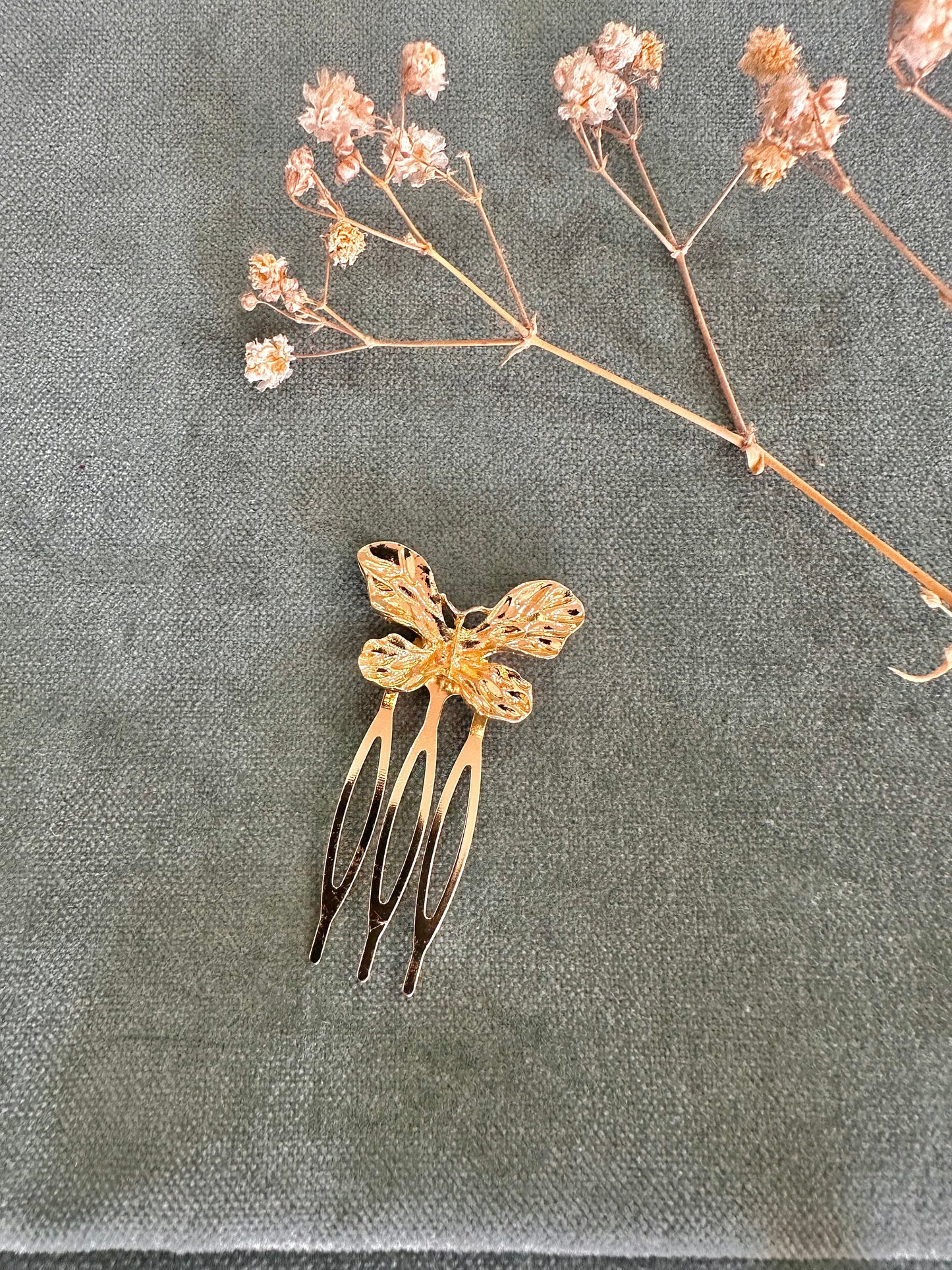 Peina mariposa peque