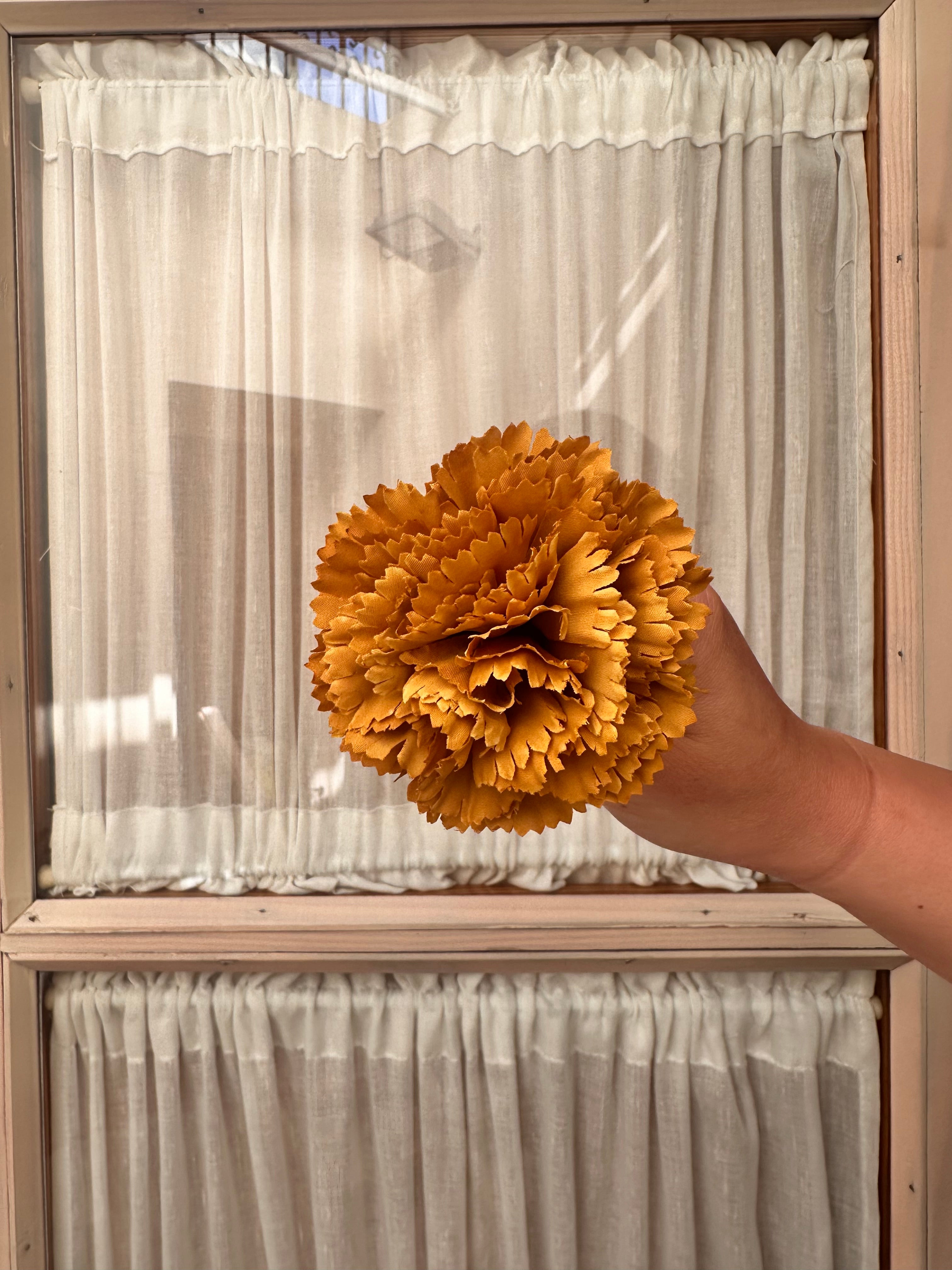 Clavel pequeño albero