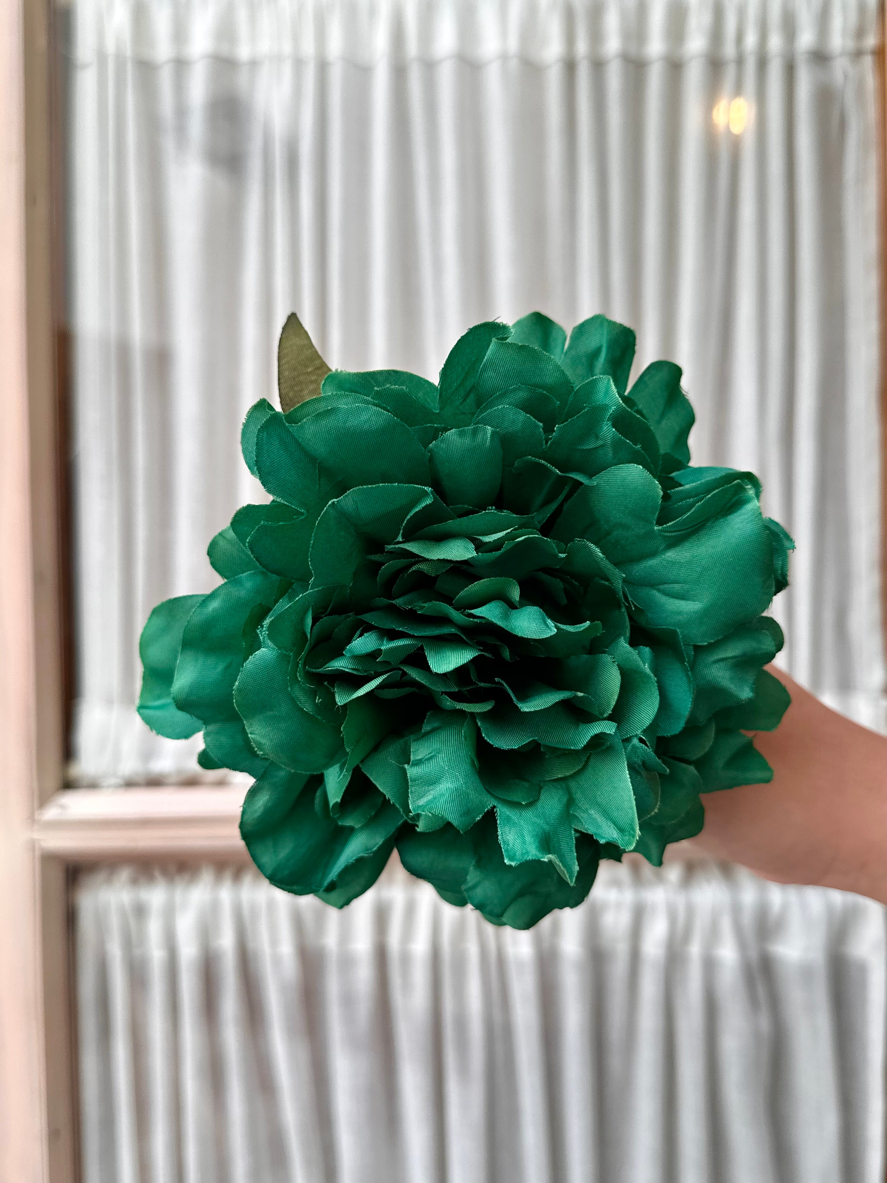 Peonia mediana verde