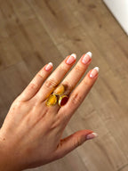 Anillo La Nuit tierra