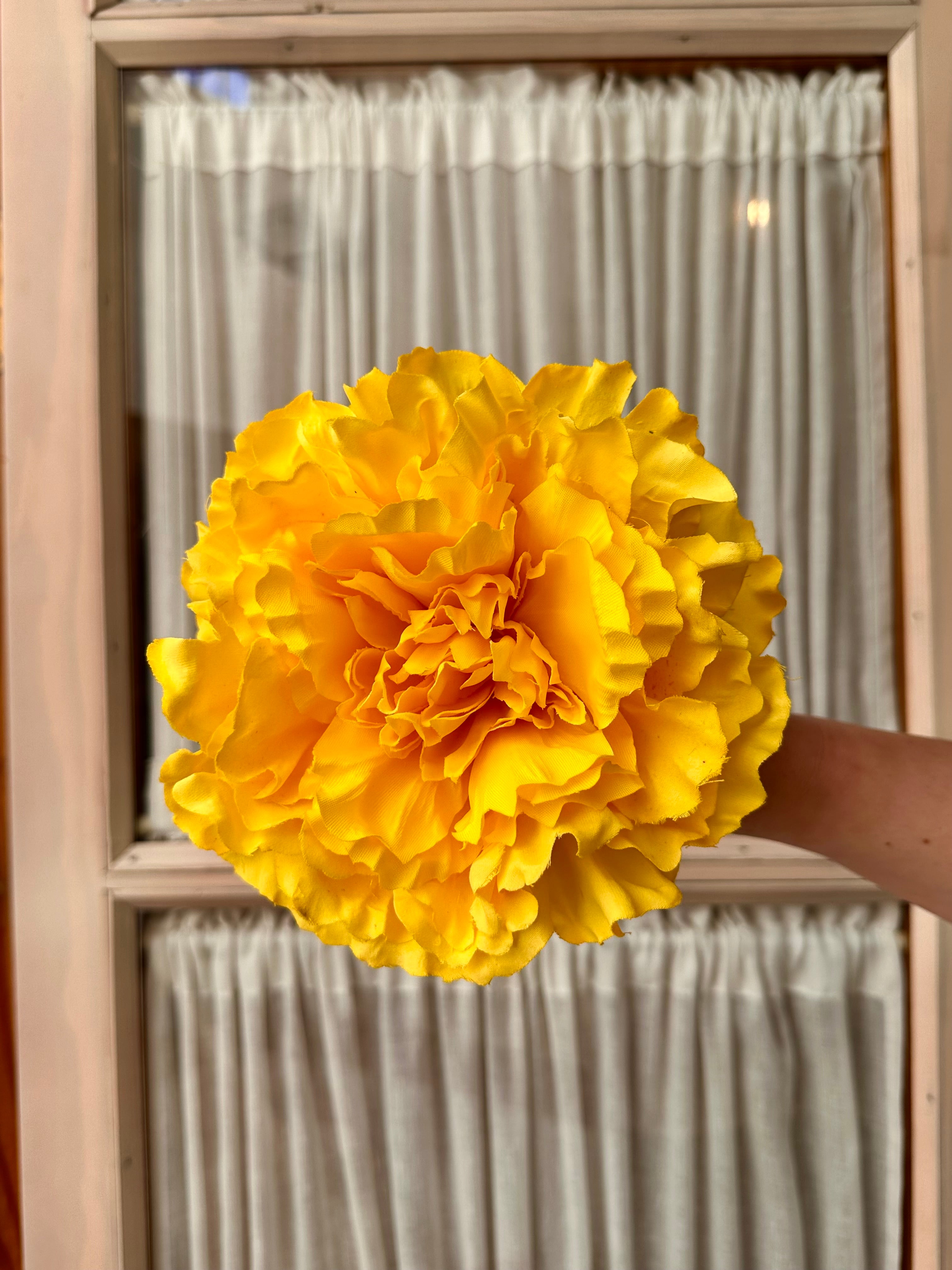 Peonia grande amarilla