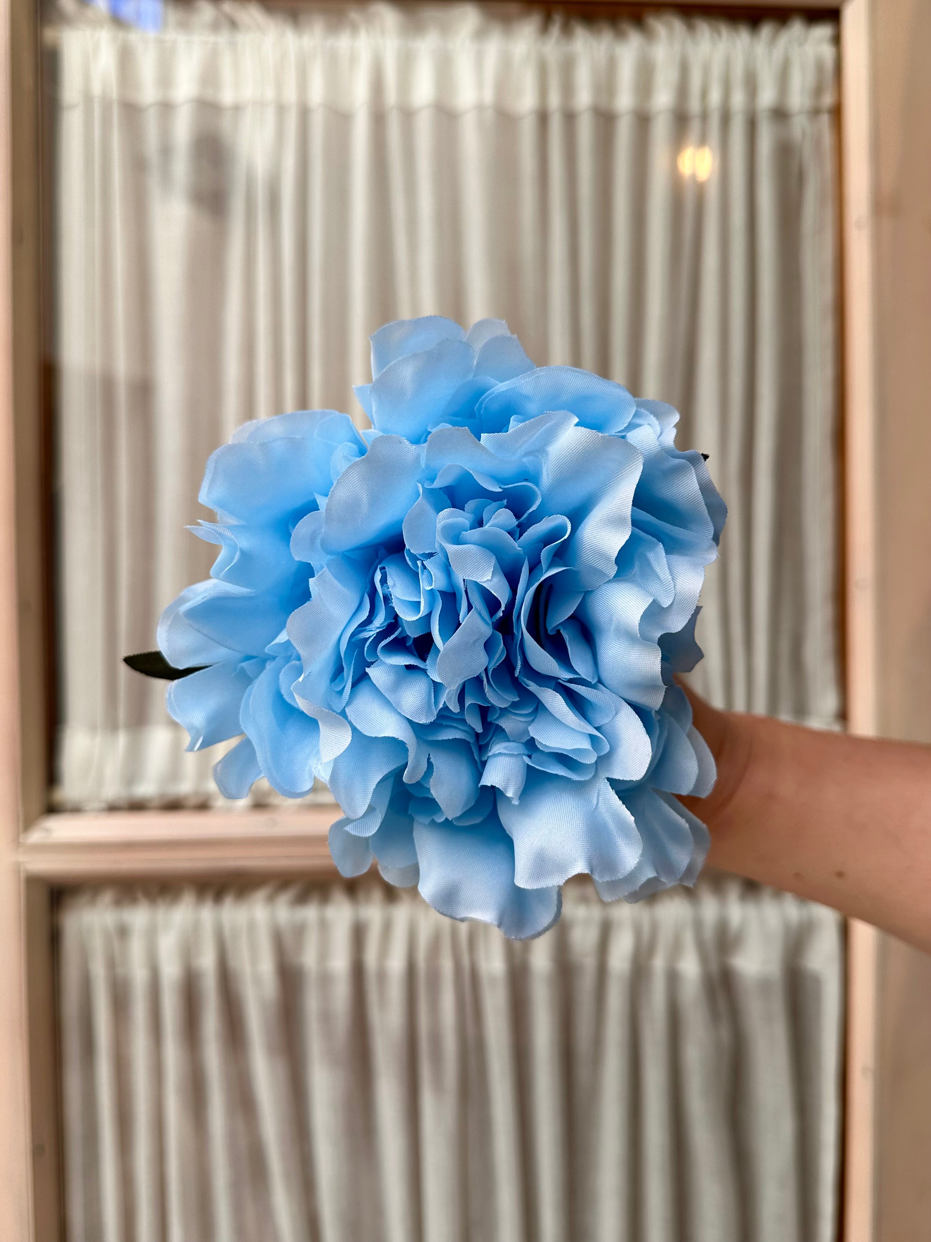 Peonia mediana azul maya