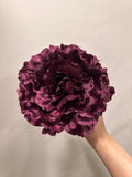 Peonia grande vino