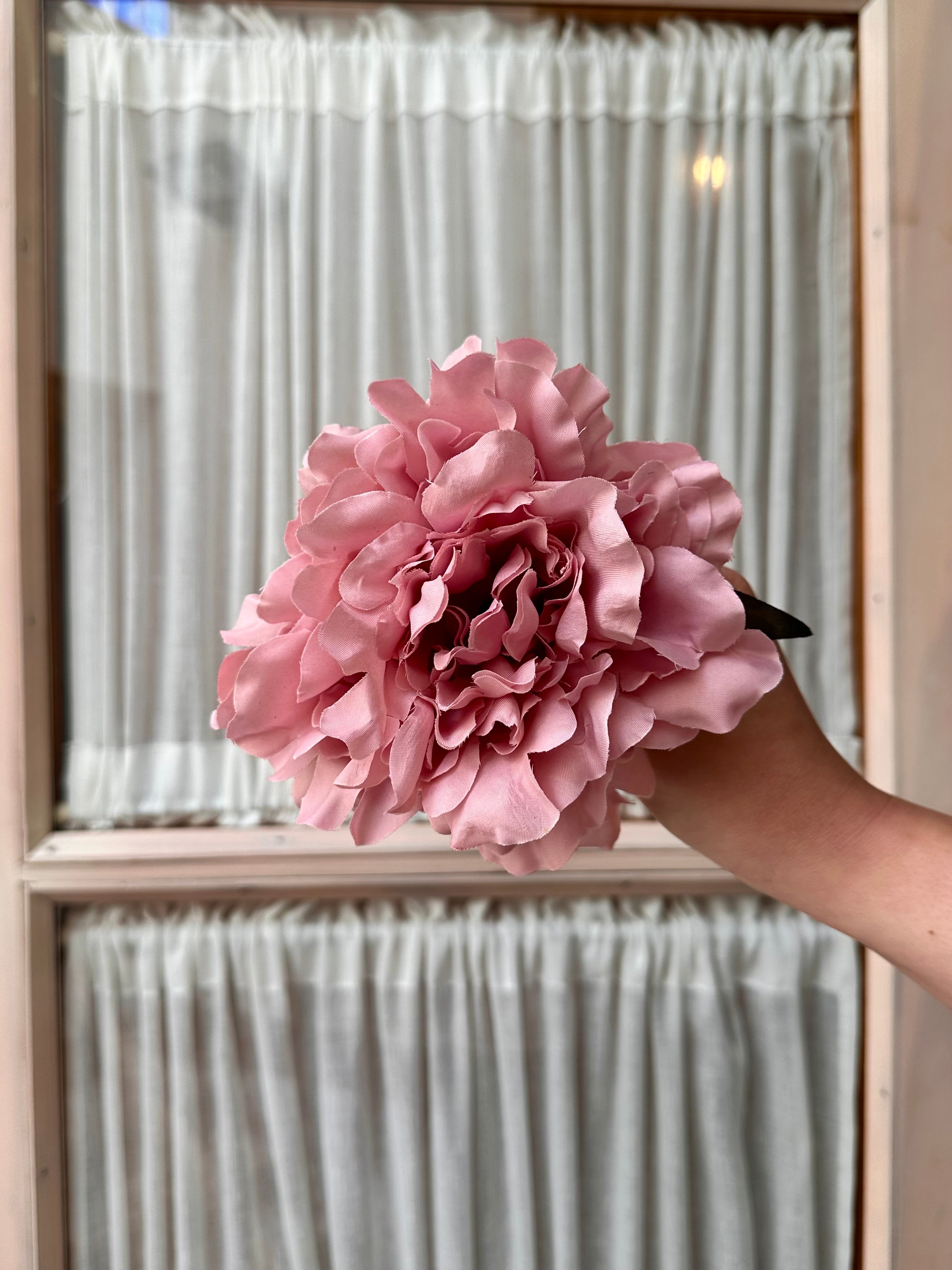 Peonia mediana rosa crepe