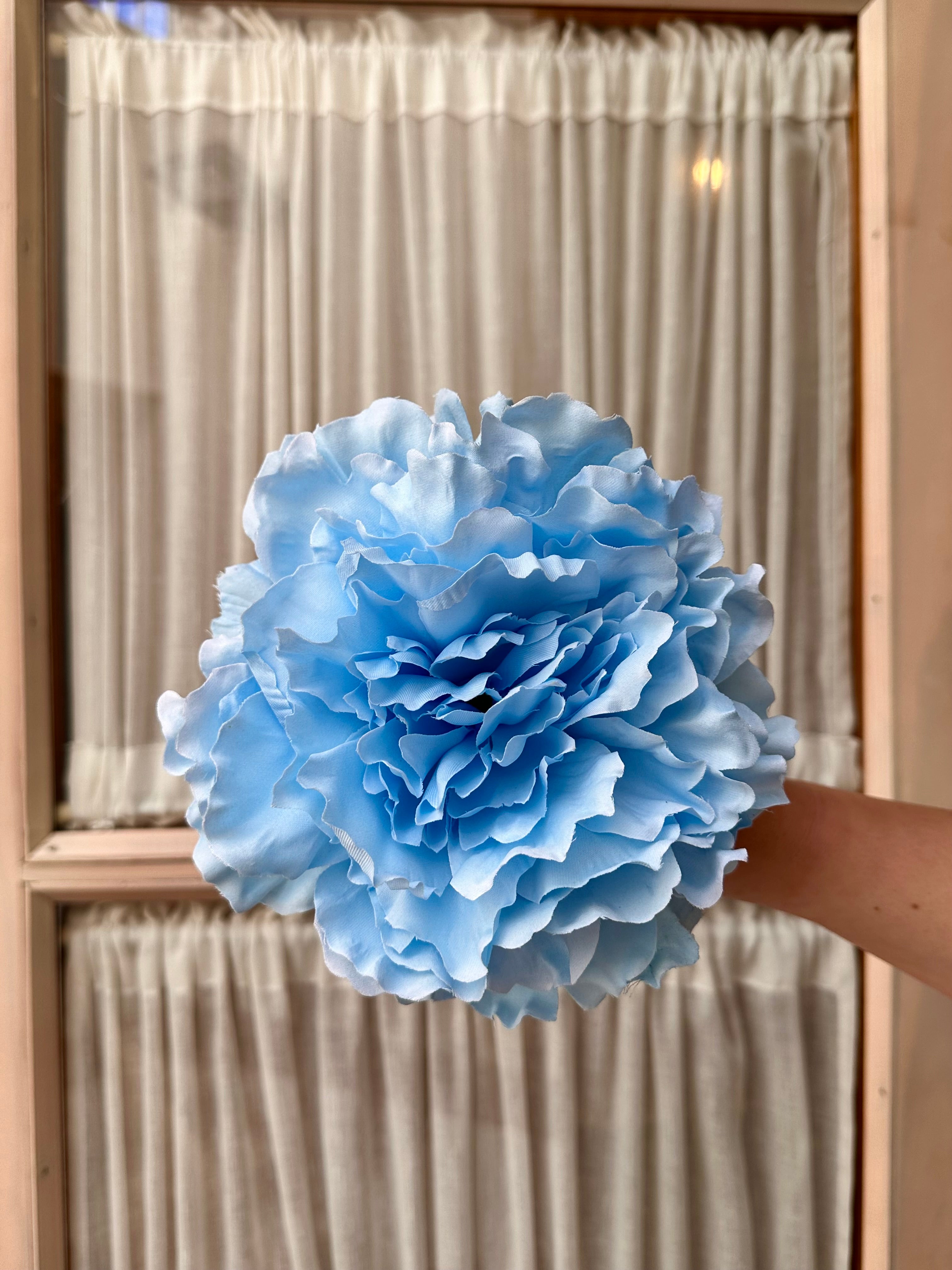 Peonia grande celeste