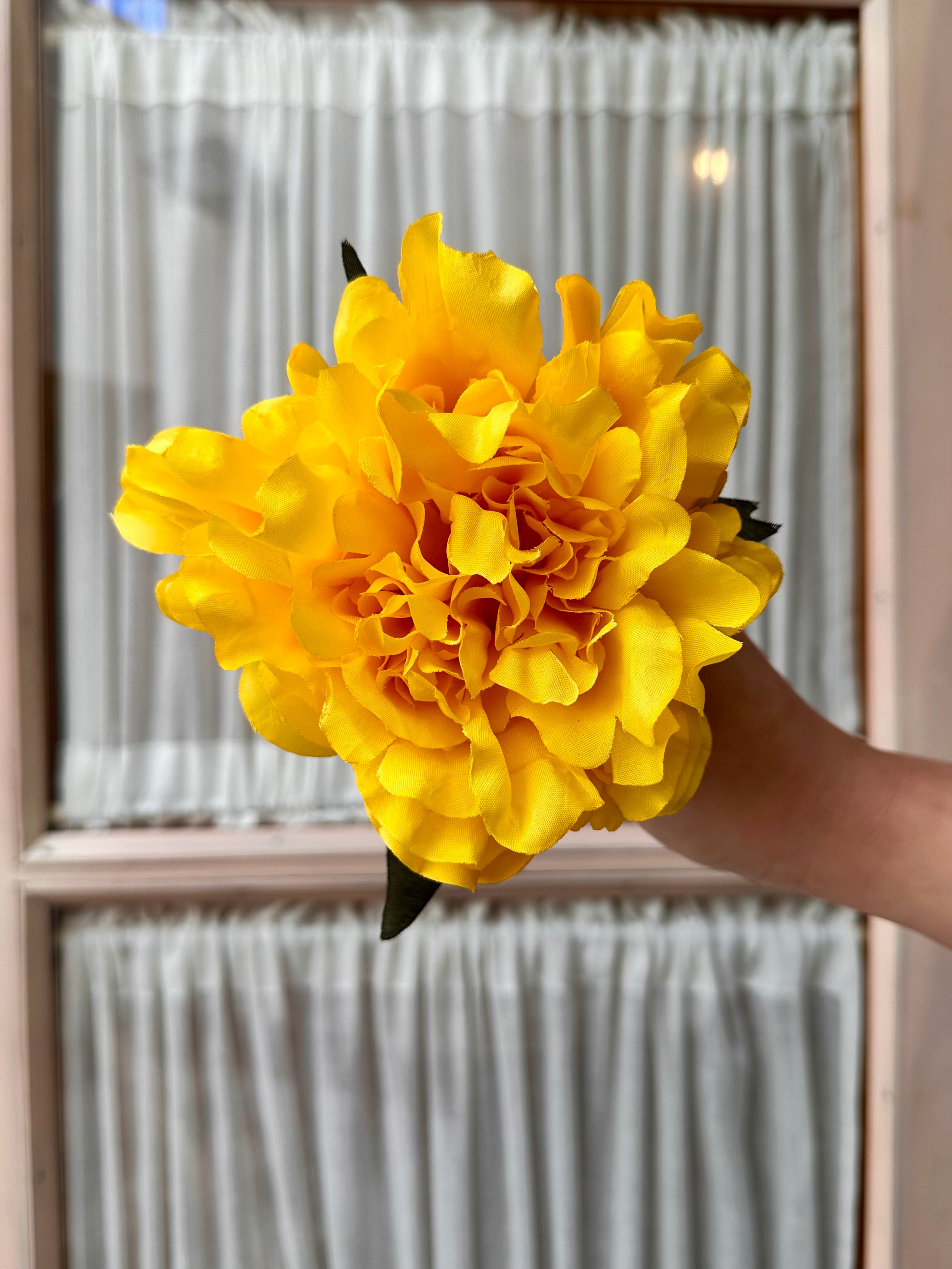 Peonia mediana amarilla