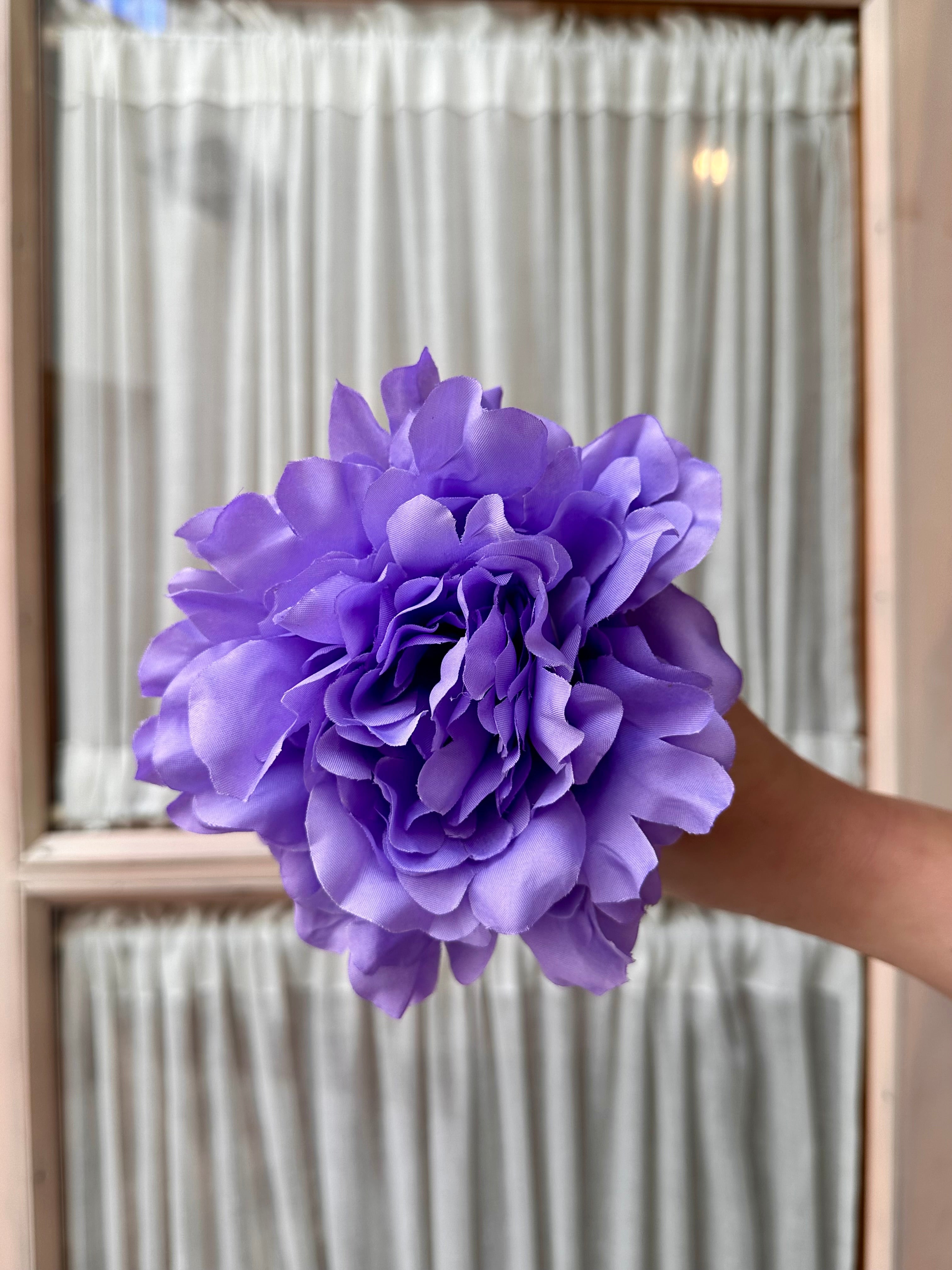 Peonia mediana lavanda