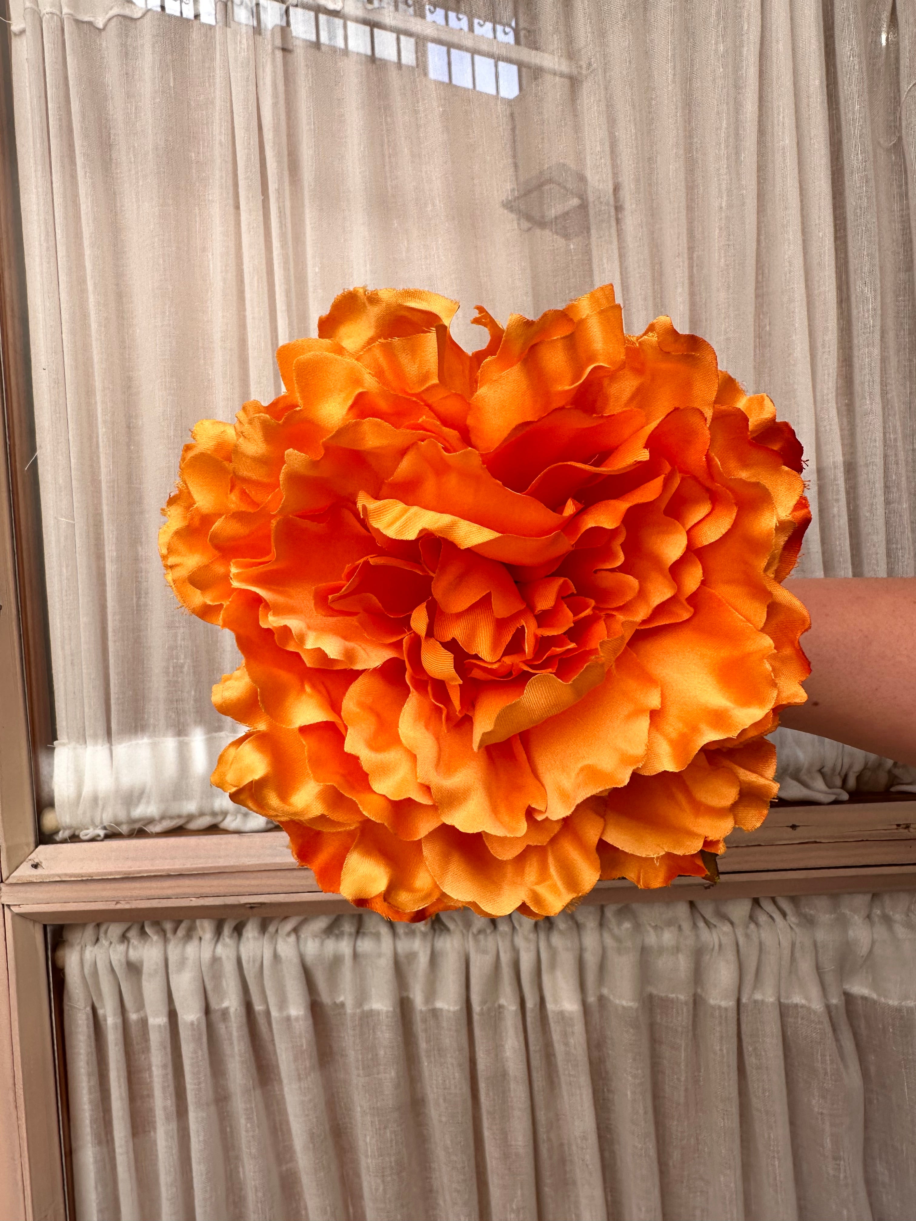 Peonia grande mandarina