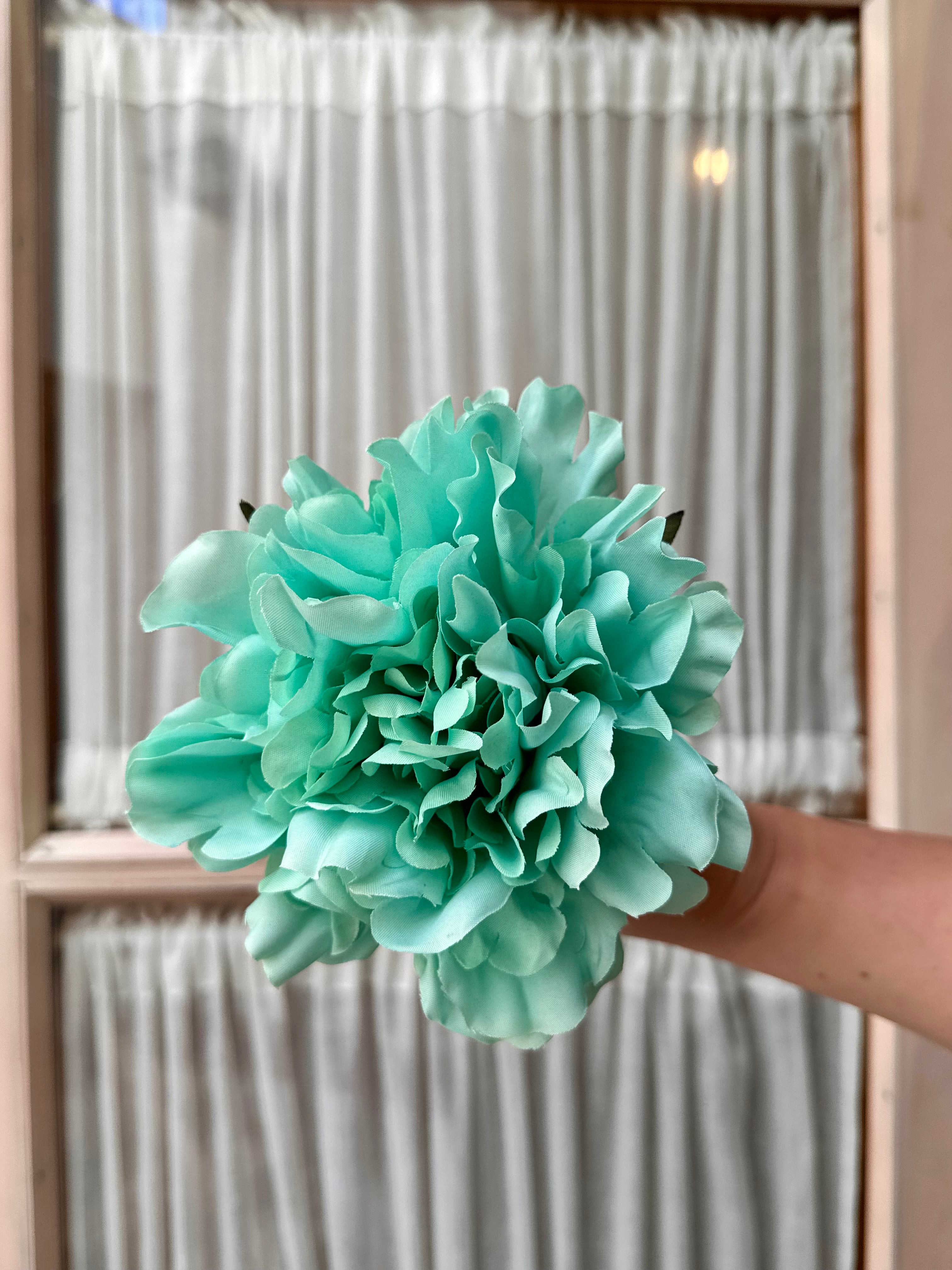 Peonia mediana aqua marina