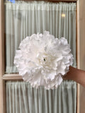 Peonia grande blanca