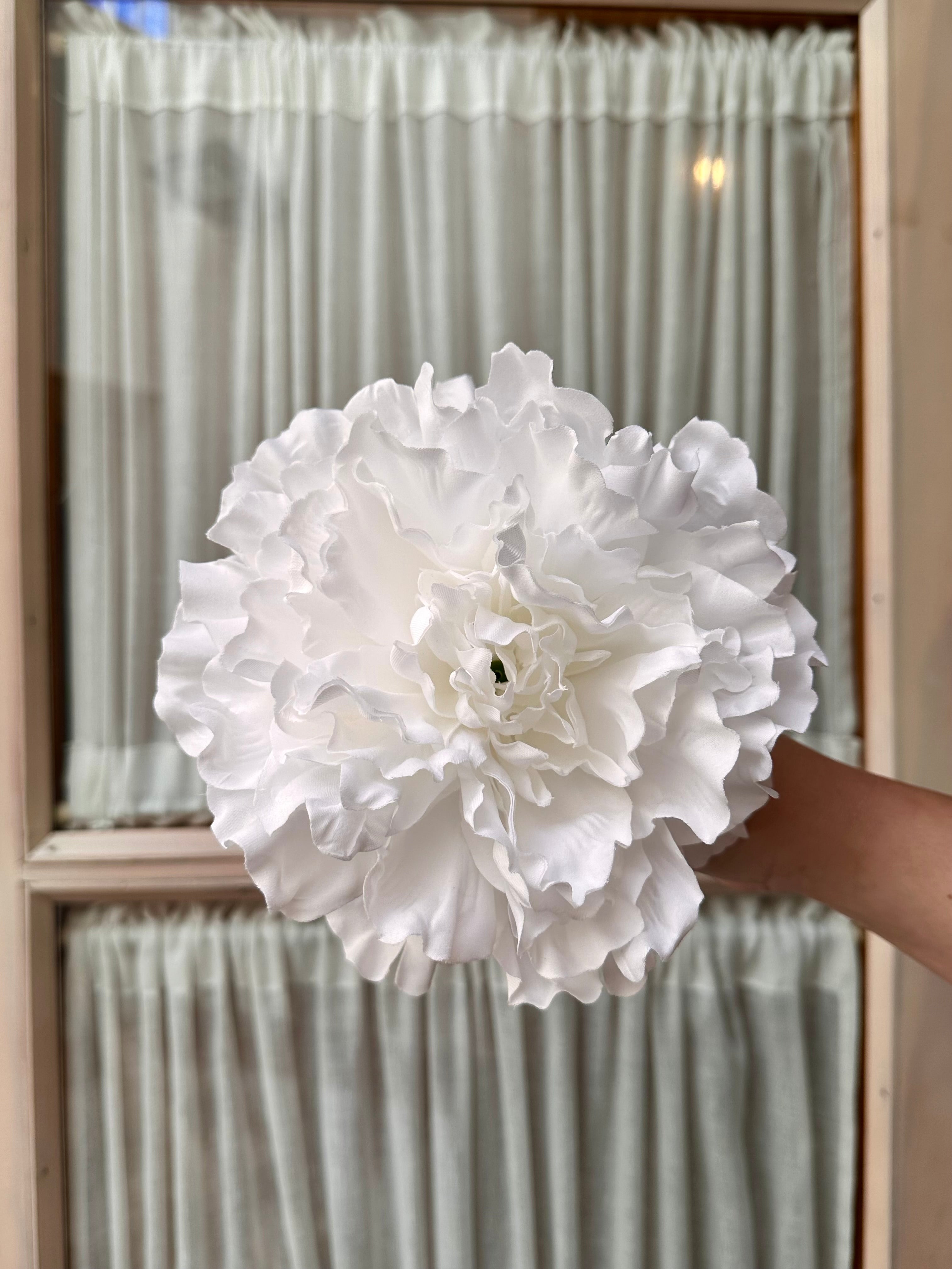 Peonia grande blanca