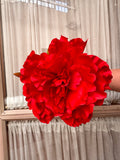 Peonia grande rojo