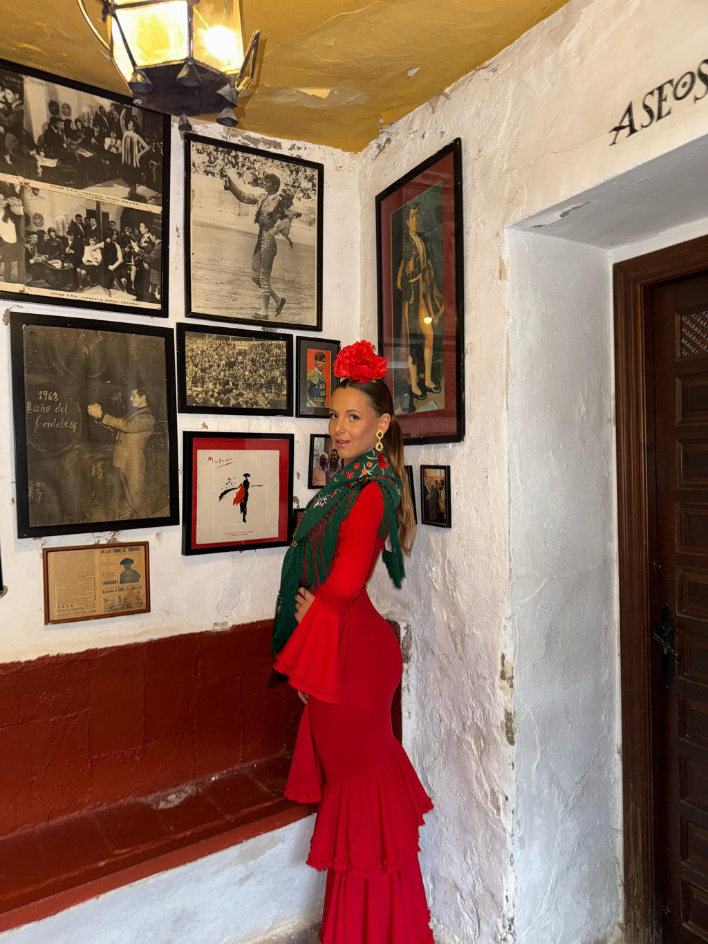 Vestido Carmesí Rojo