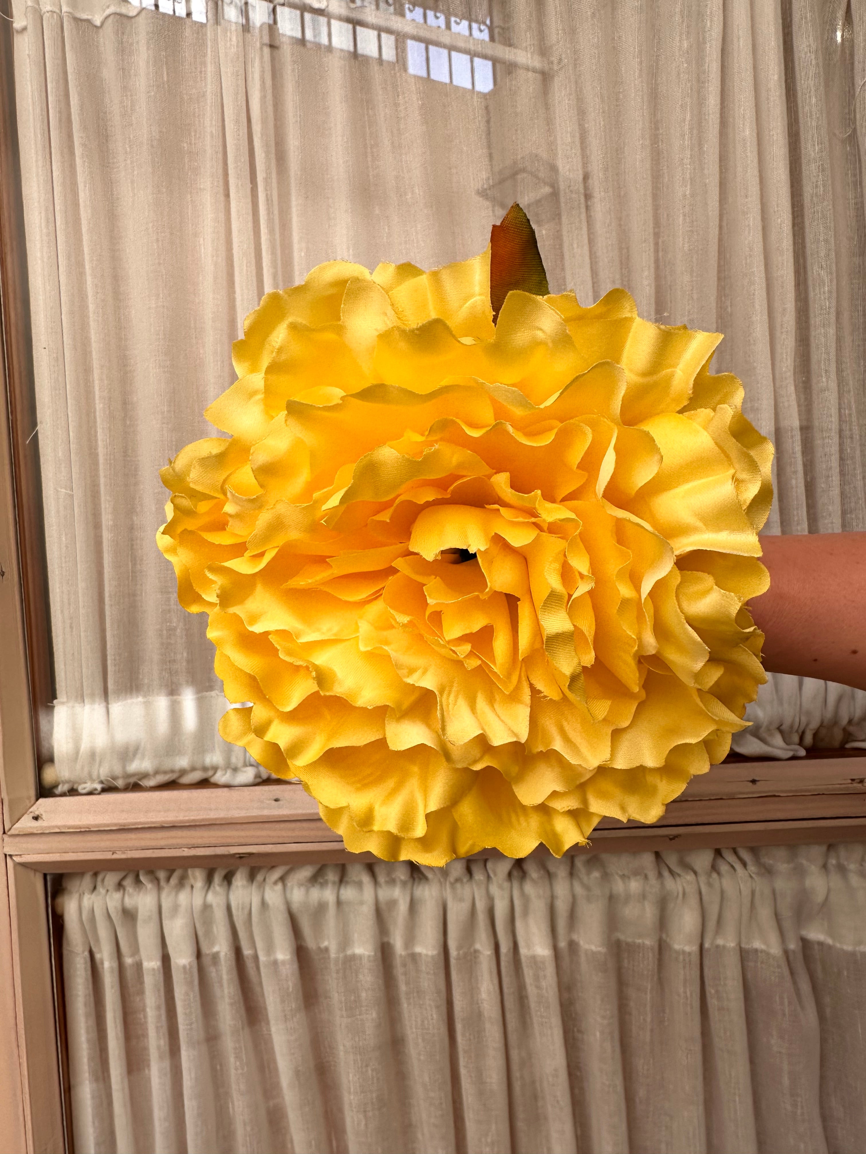 Peonia grande amarillo pastel