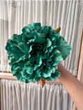 Peonia grande verde andalucia