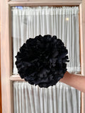 Peonia grande negra